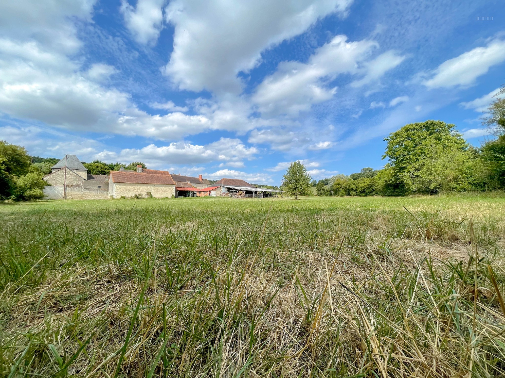 Ferme à vendre à St sauveur, 200 m², 15 pièces – photo 3 sur 20
