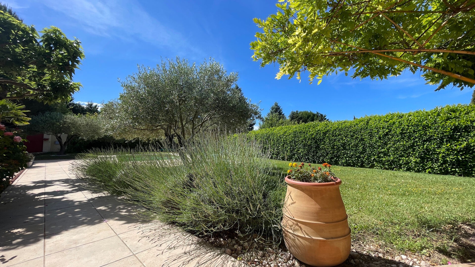 Charmante villa 123 m2 sur 1698 m2 avec piscine — photo 5