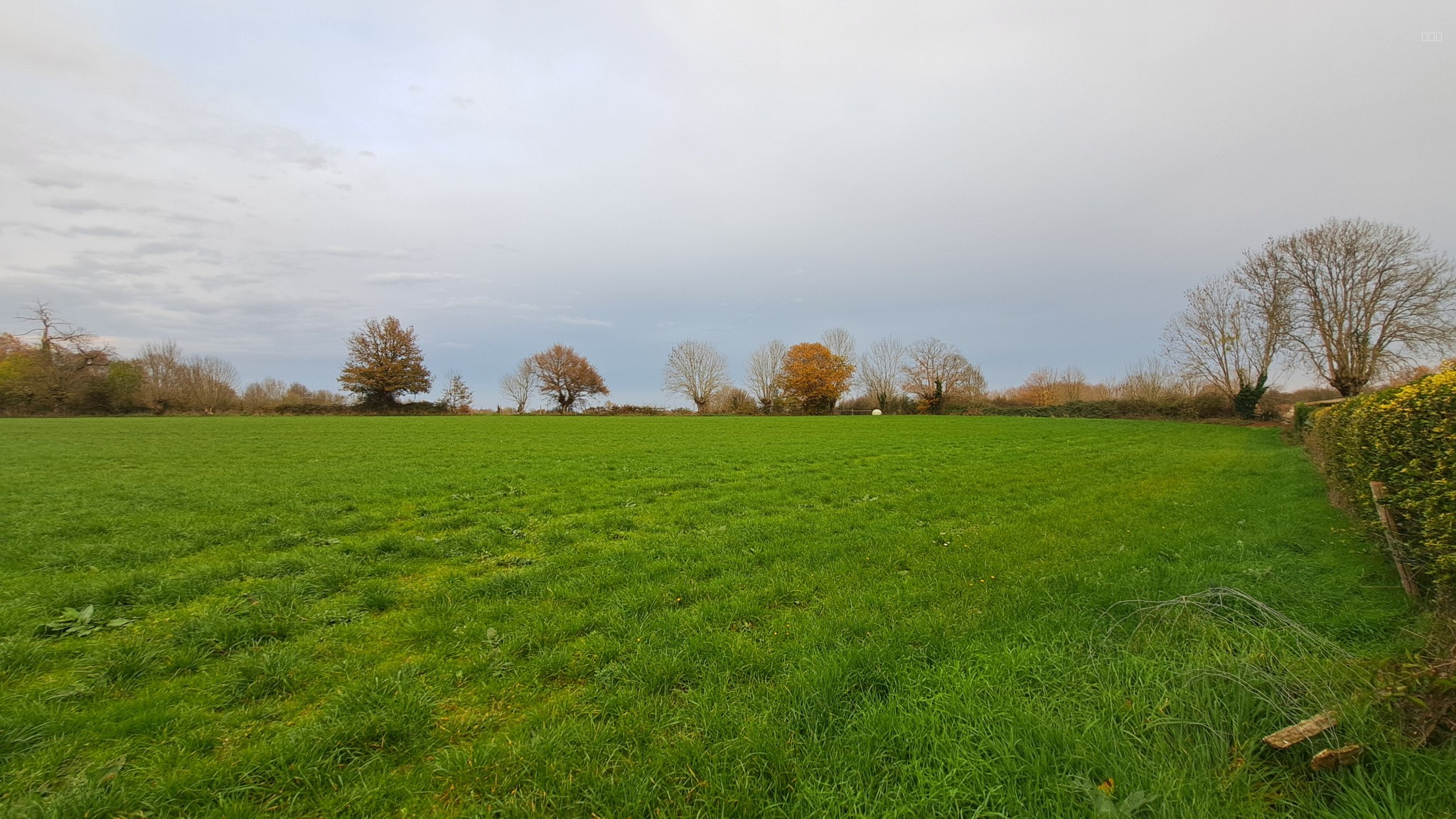 Bien immobilier à vendre à Saint pardoux soutiers, 18 113 m² – photo 3 sur 6