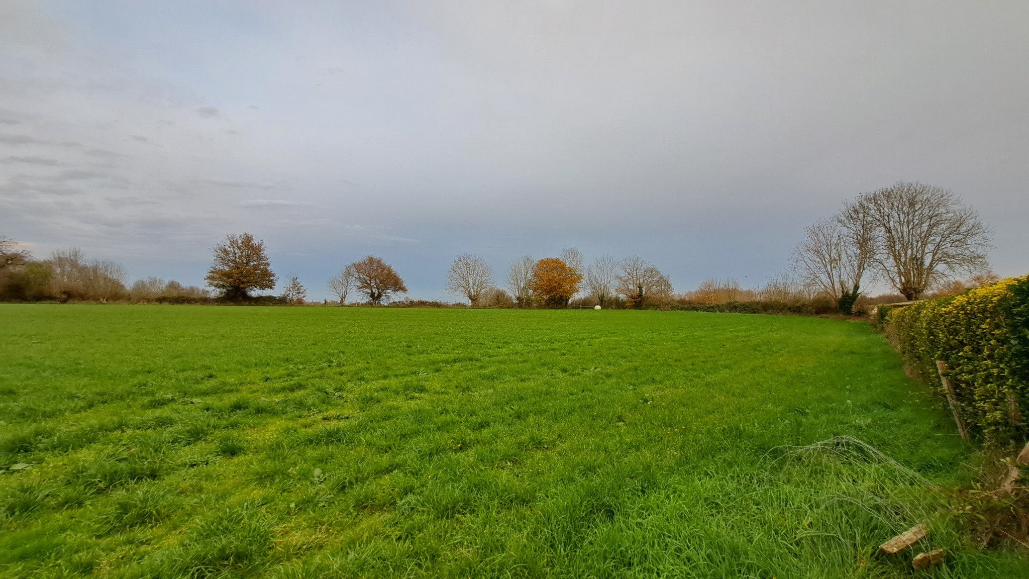 Bien immobilier à vendre à Saint pardoux soutiers, 18 113 m² – photo 1 sur 6