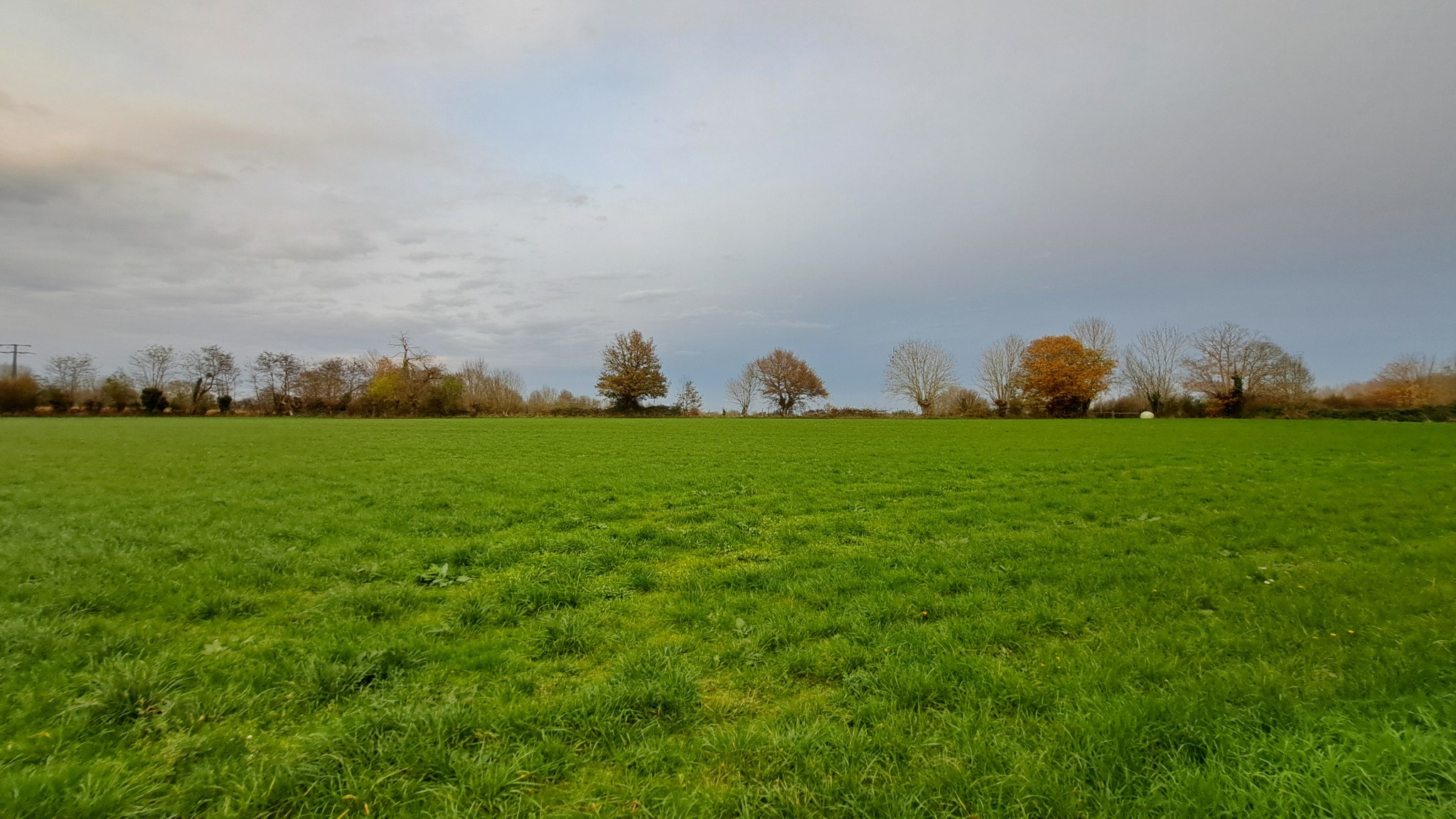 Bien immobilier à vendre à Saint pardoux soutiers, 18 113 m² – photo 2 sur 6
