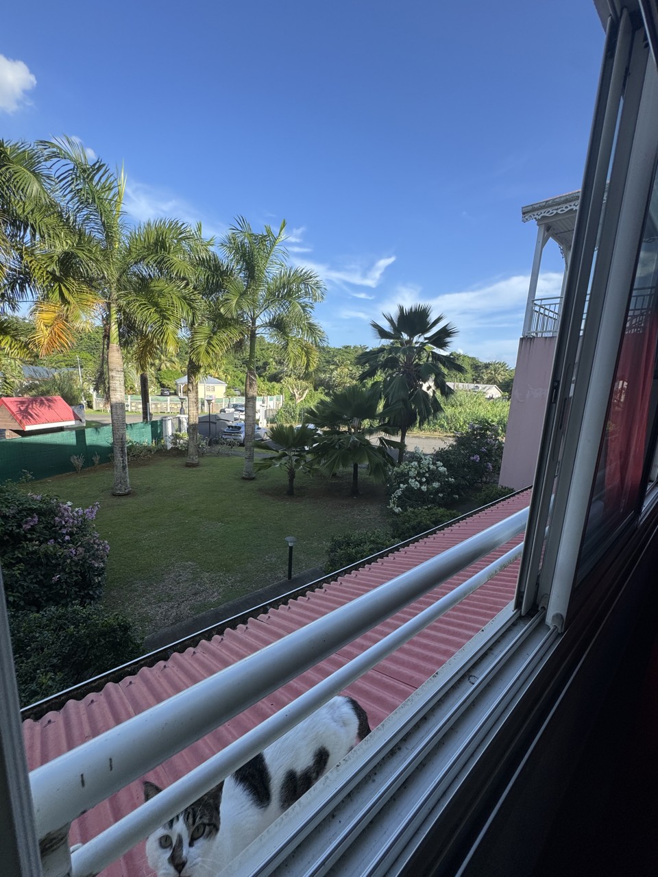 Appartement à vendre à Baie mahault, 49,11 m², 2 pièces – photo 1 sur 17