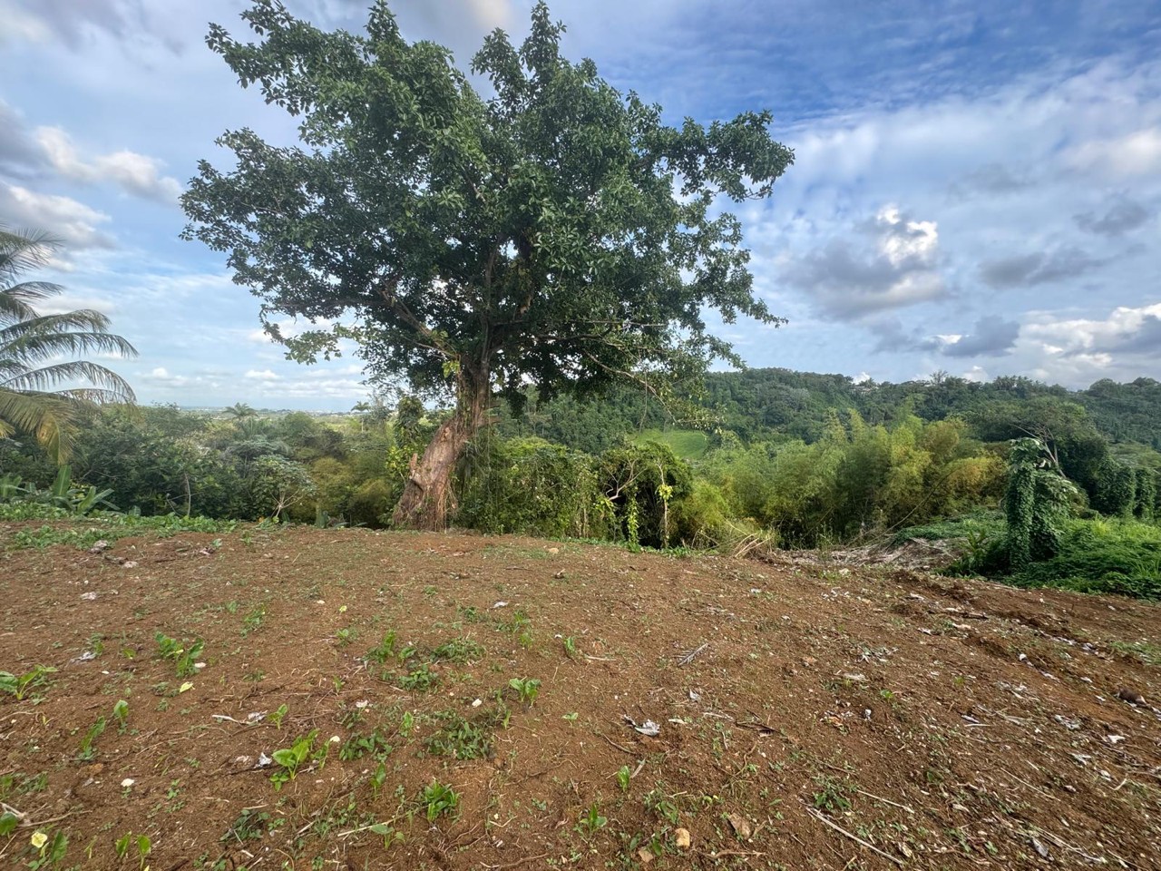 Villa à vendre à Petit bourg, 150 m², 6 pièces – photo 1 sur 15