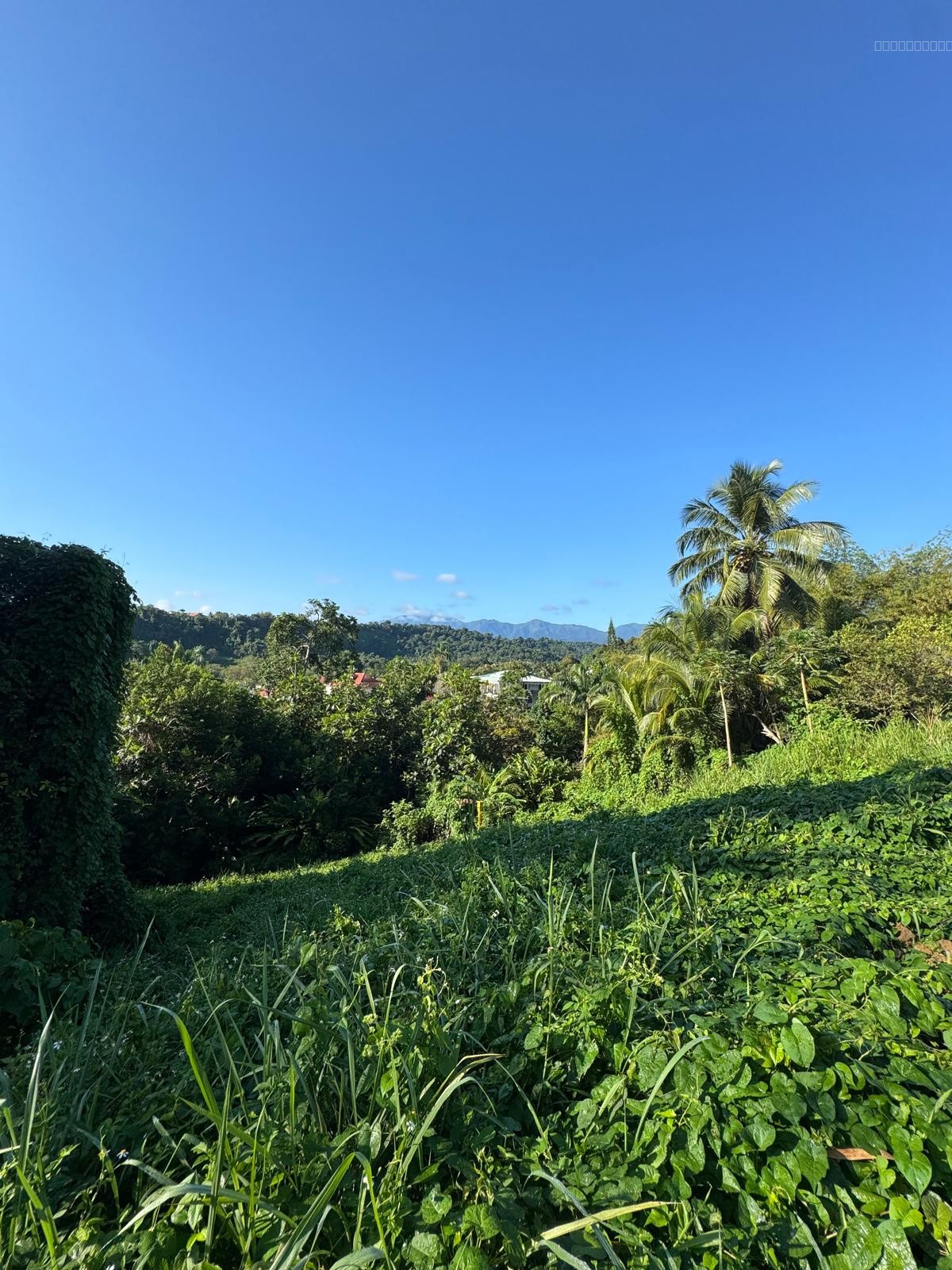 Terrain à vendre à Petit bourg, 960,27 m² – photo 3 sur 10