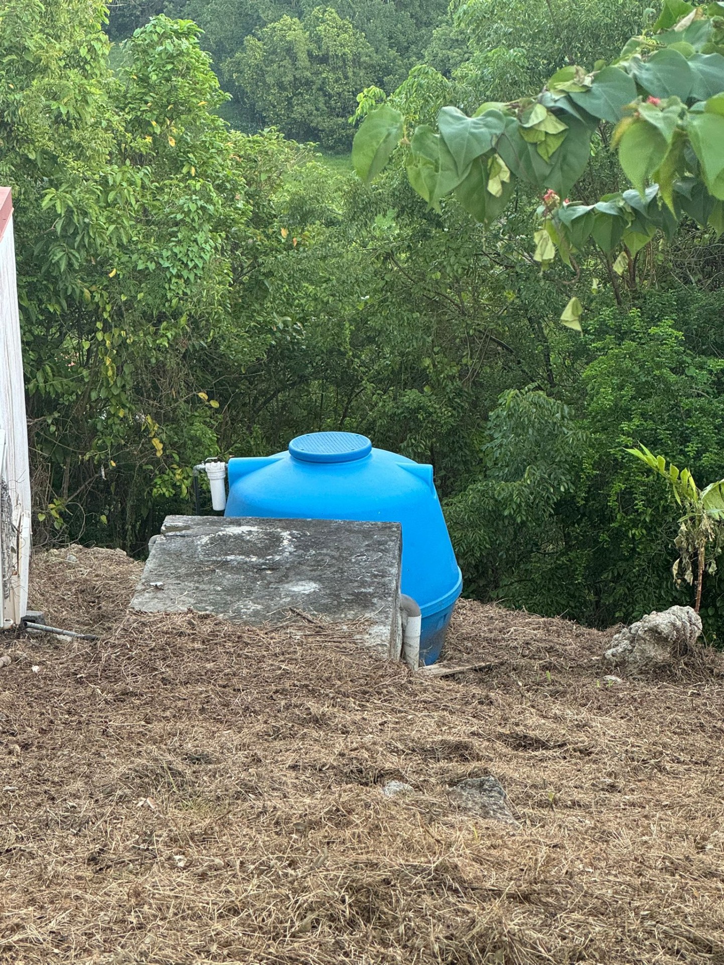 Maison F5 meublée à louer   Grand Bois, Le Gosier — photo 10