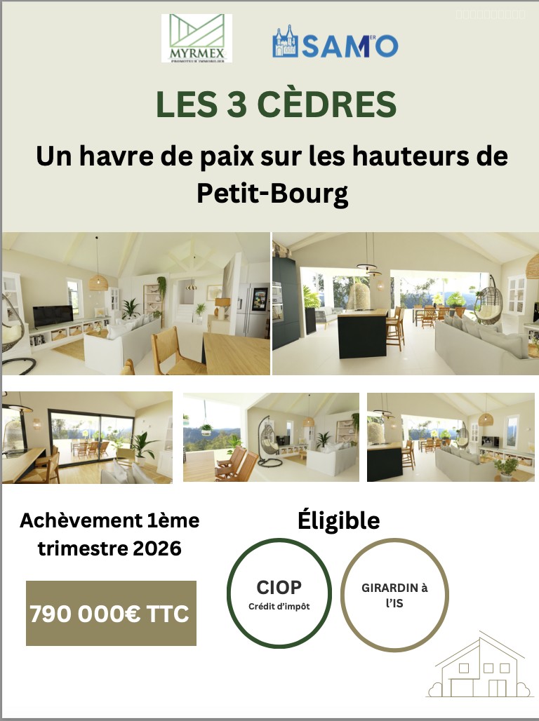 Villa à vendre à Petit bourg, 150 m², 6 pièces – photo 3 sur 15