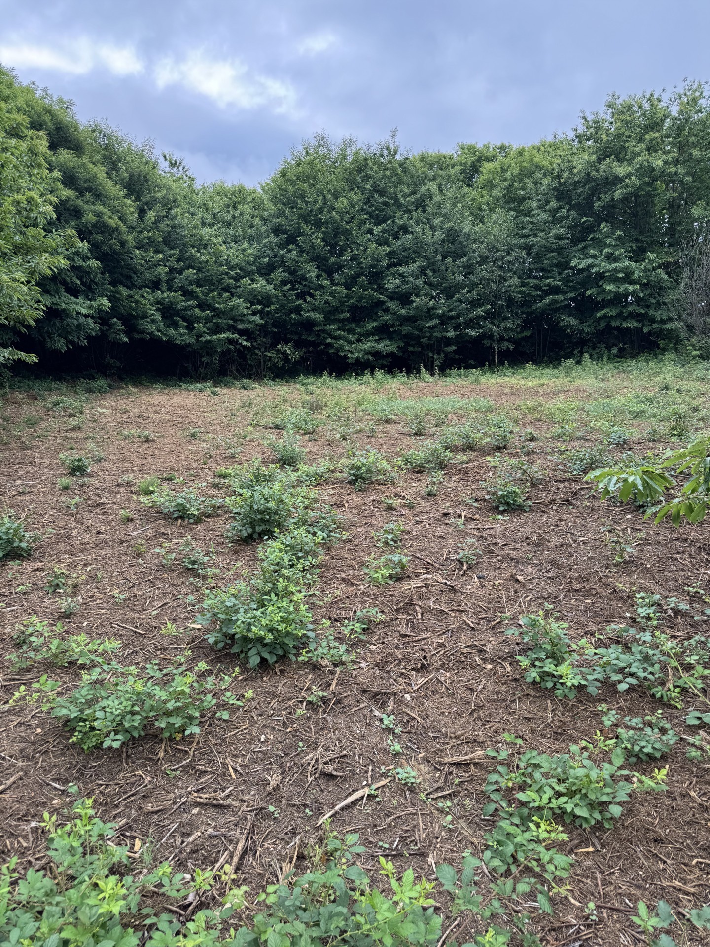 Bien immobilier à vendre à La chapelle aubareil, 2 553 m² – photo 2 sur 2