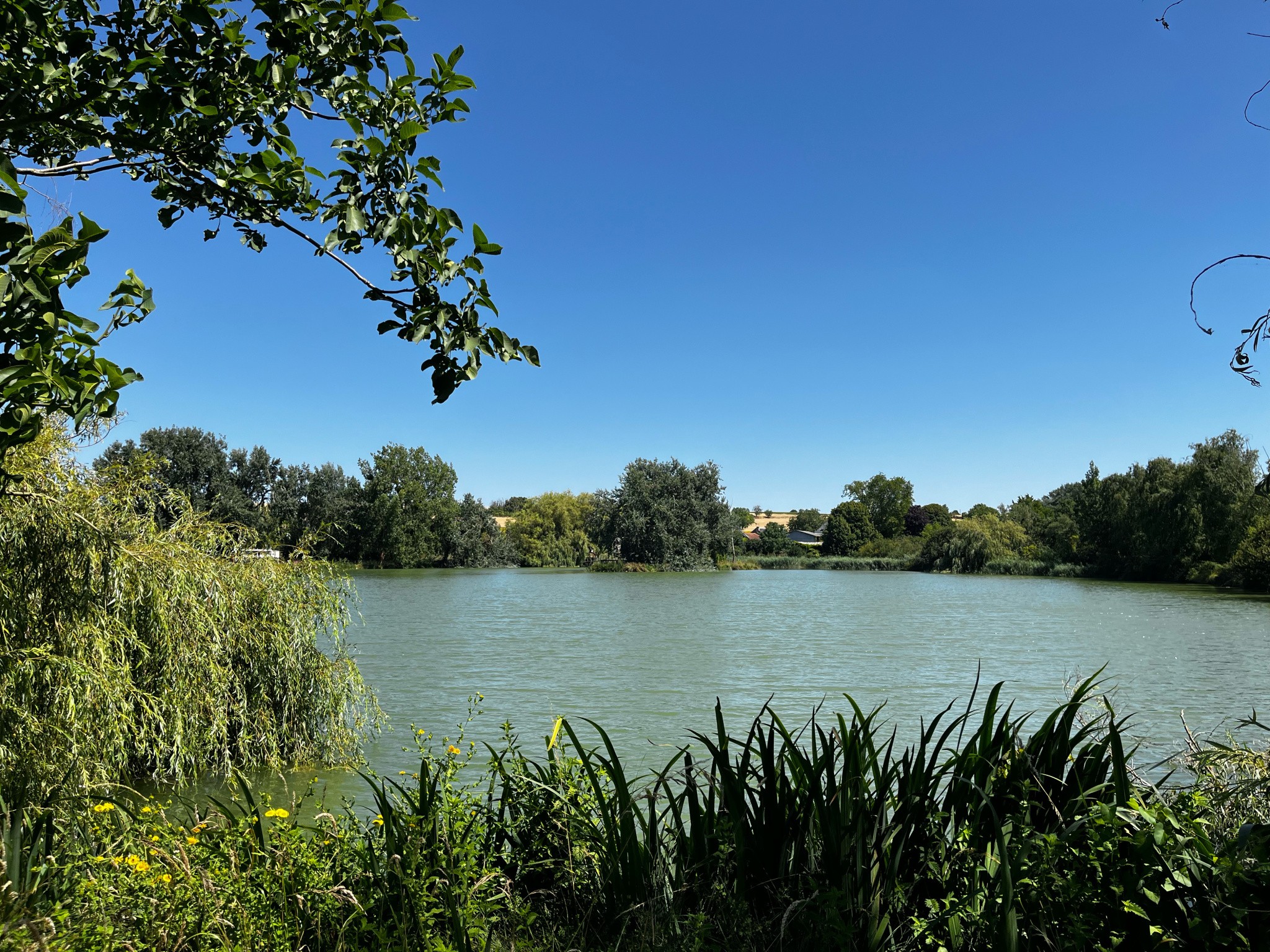 Bien immobilier à vendre à Poitiers, 34 m², 6 pièces – photo 2 sur 15