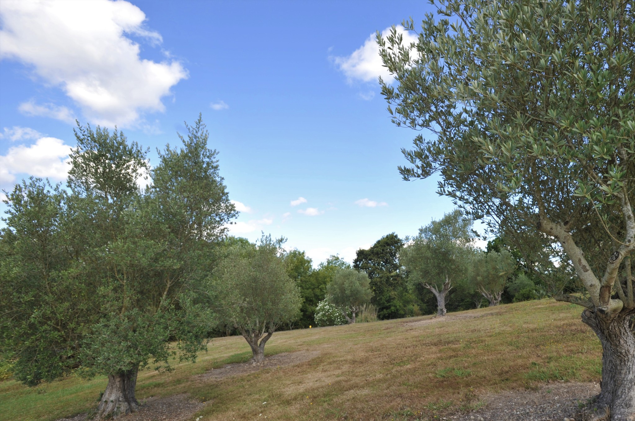 Terrain à vendre à St martin de hinx, 822 m² – photo 1 sur 2