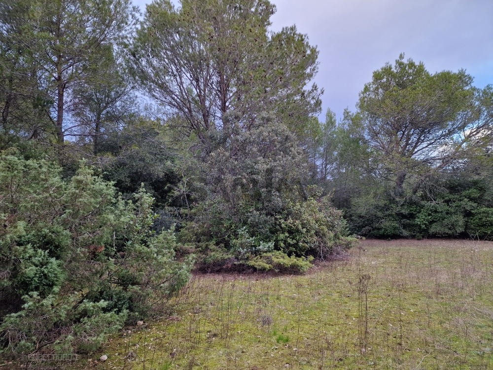 Bien immobilier à vendre à Mus, 1 974 m² – photo 2 sur 3