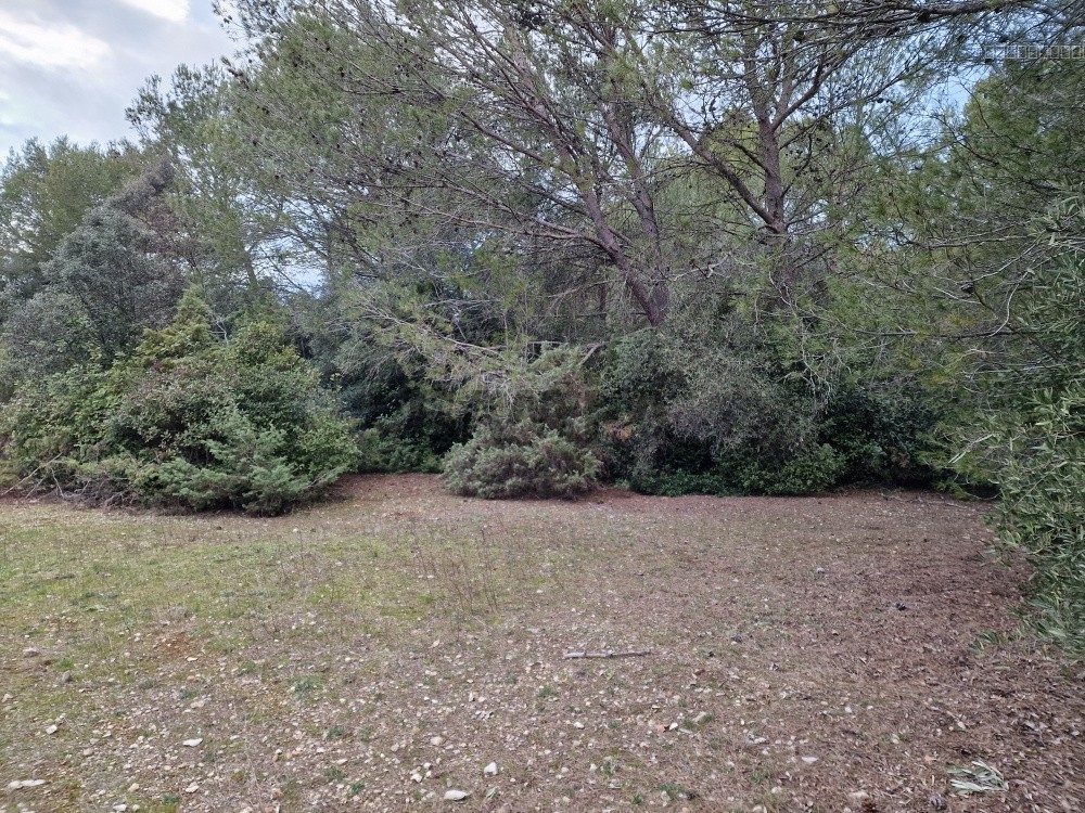 Bien immobilier à vendre à Mus, 1 974 m² – photo 3 sur 3