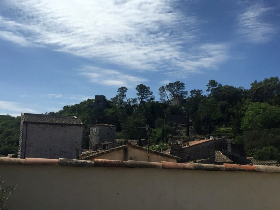 Bien immobilier à vendre à Sauve, 285 m², 6 pièces – photo 2 sur 8