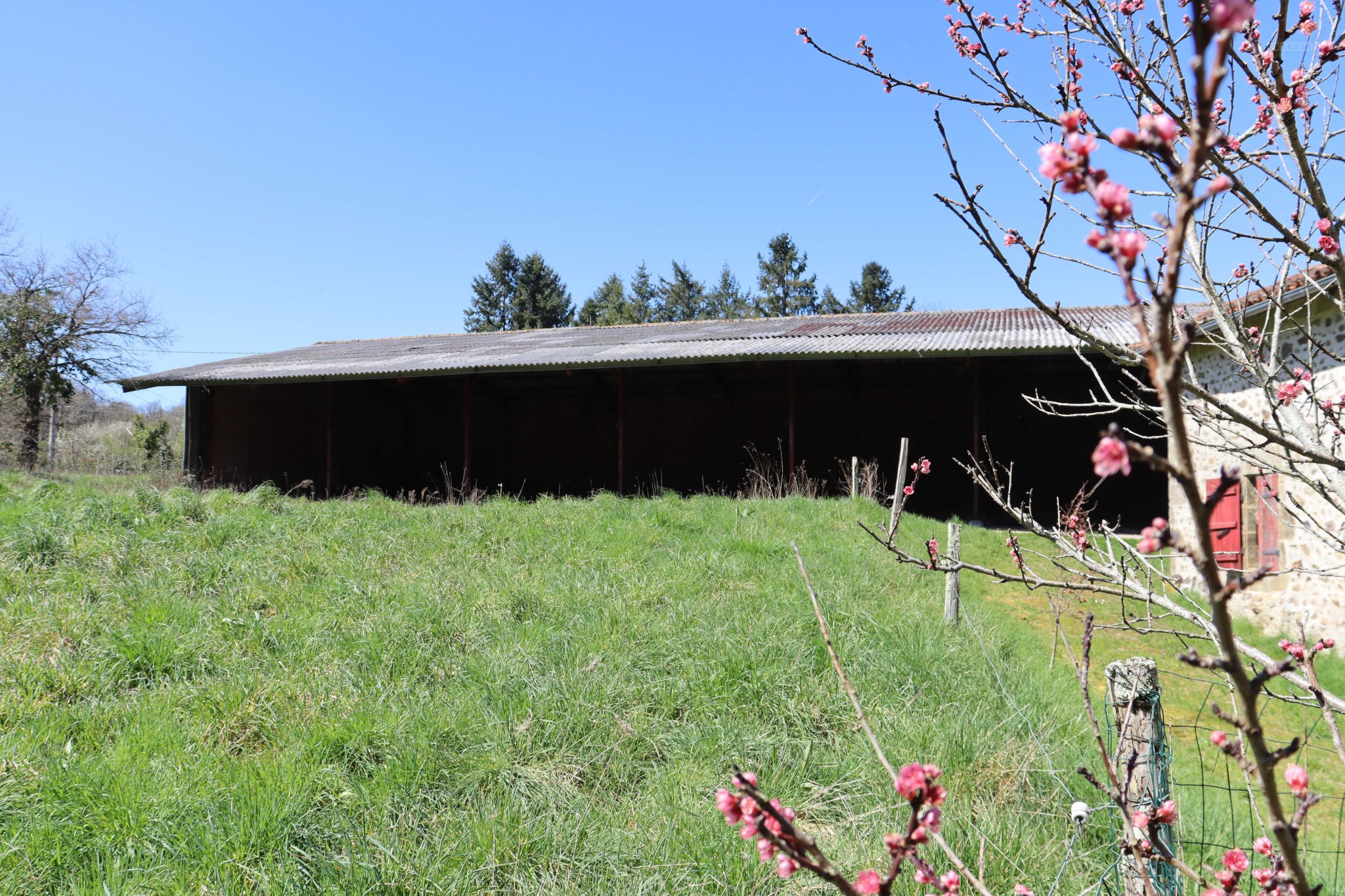 Bien immobilier à vendre à Pressignac, 95 m², 4 pièces – photo 3 sur 20