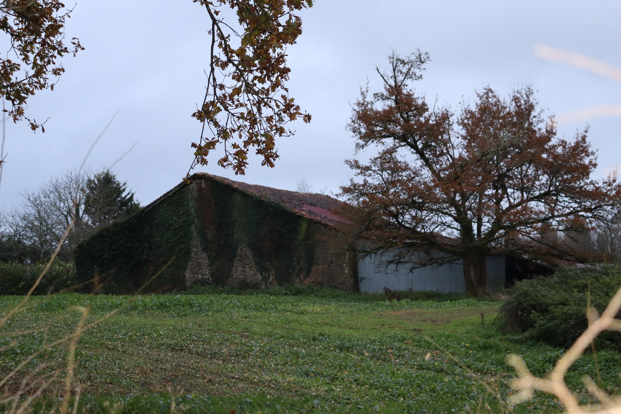 Bien immobilier à vendre à Maisonnais sur tardoire, 200 m², 1 pièce – photo 3 sur 6