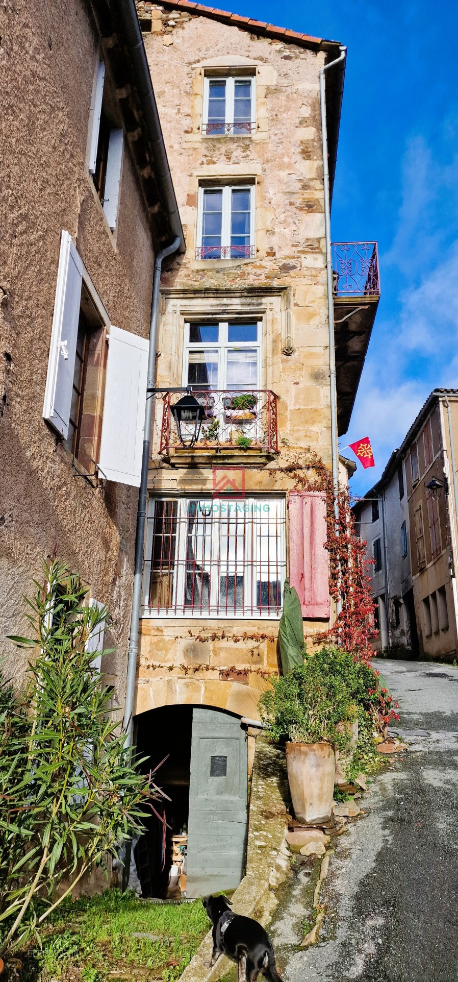 Maison à vendre à St sernin sur rance, 200 m², 9 pièces – photo 2 sur 20
