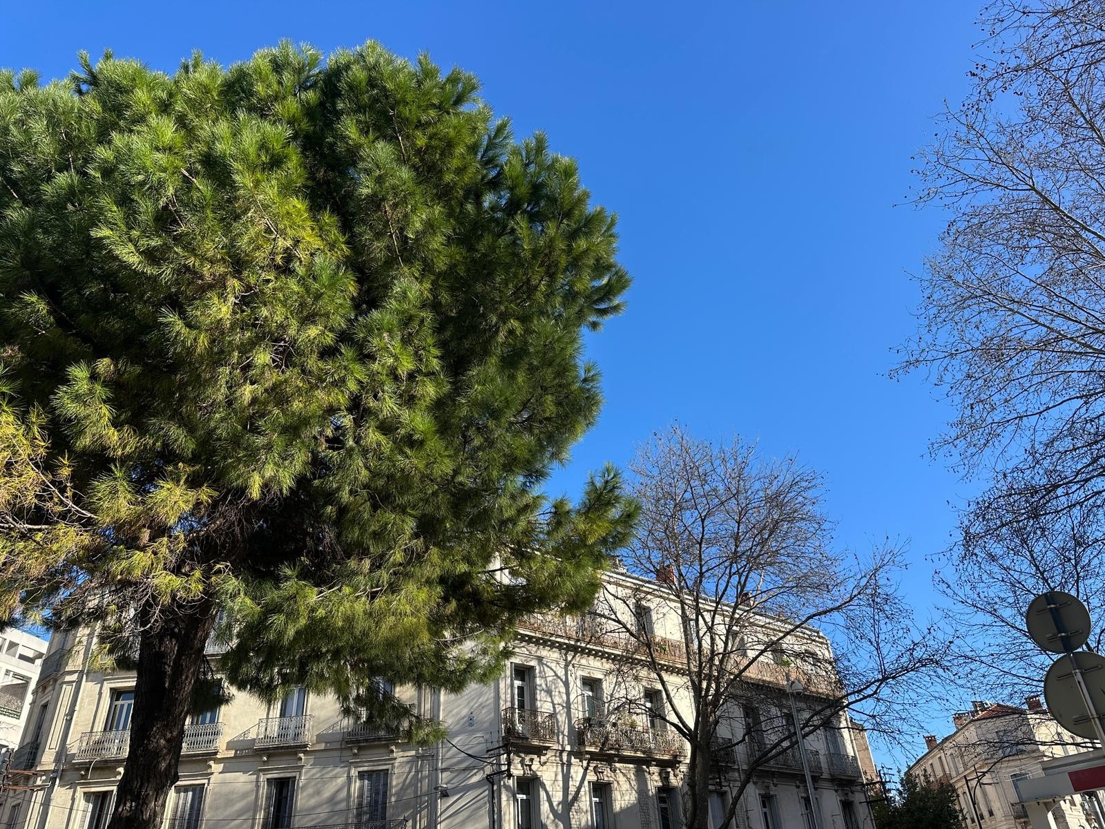 Montpellier   Secteur Gare Saint-Roch   2 pièces 47 m2   Vendu libre — photo 12