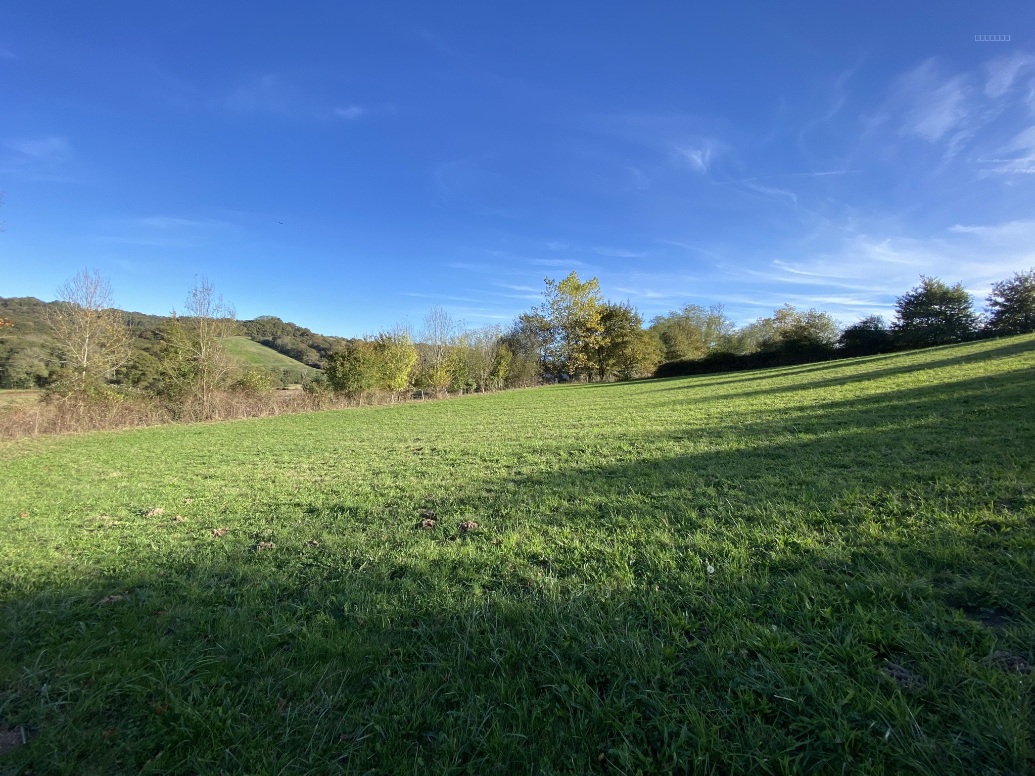 Bien immobilier à vendre à Sauvelade, 4 000 m² – photo 3 sur 5