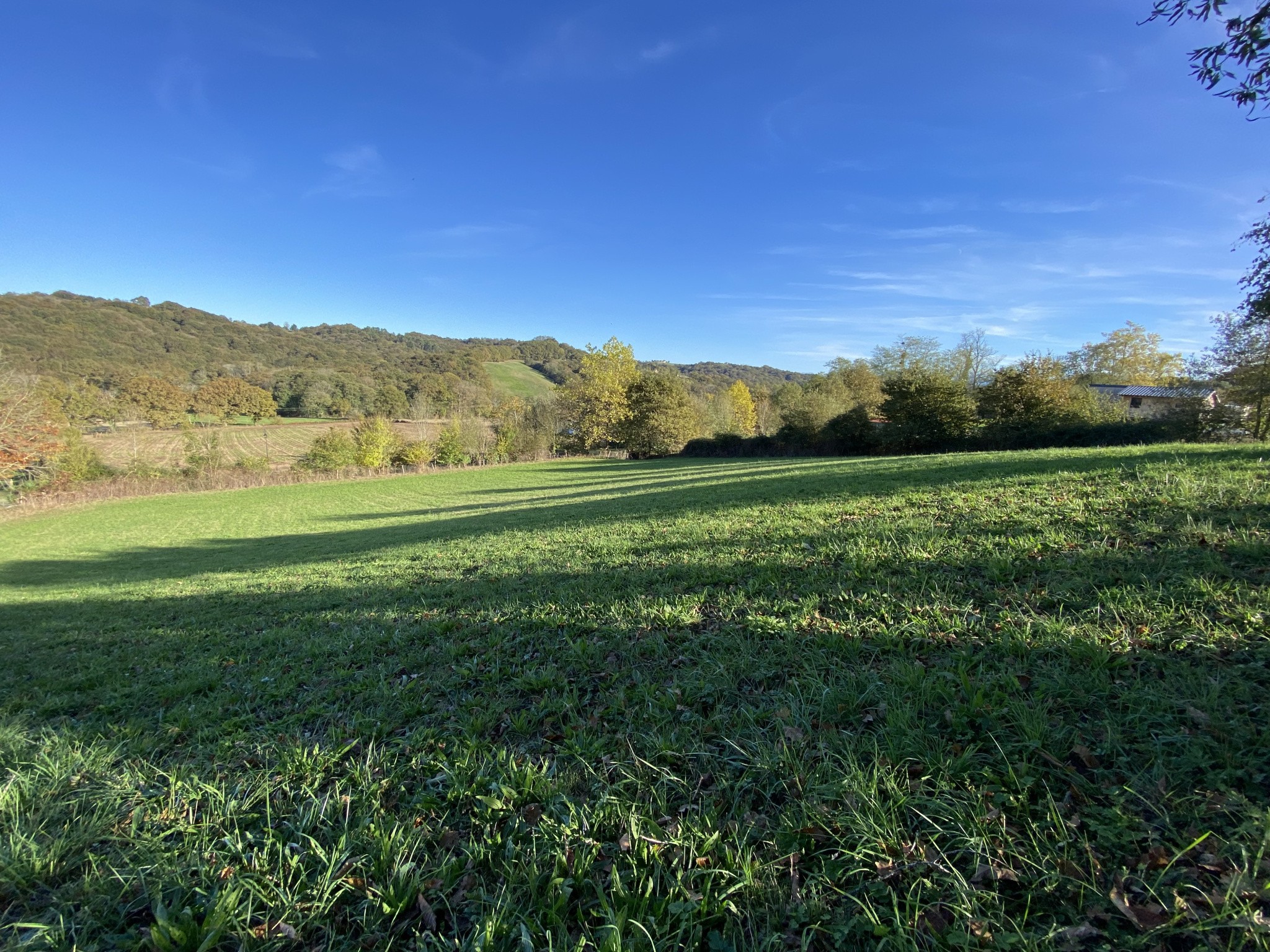 Terrain à vendre à Sauvelade, 2 000 m² – photo 3 sur 6