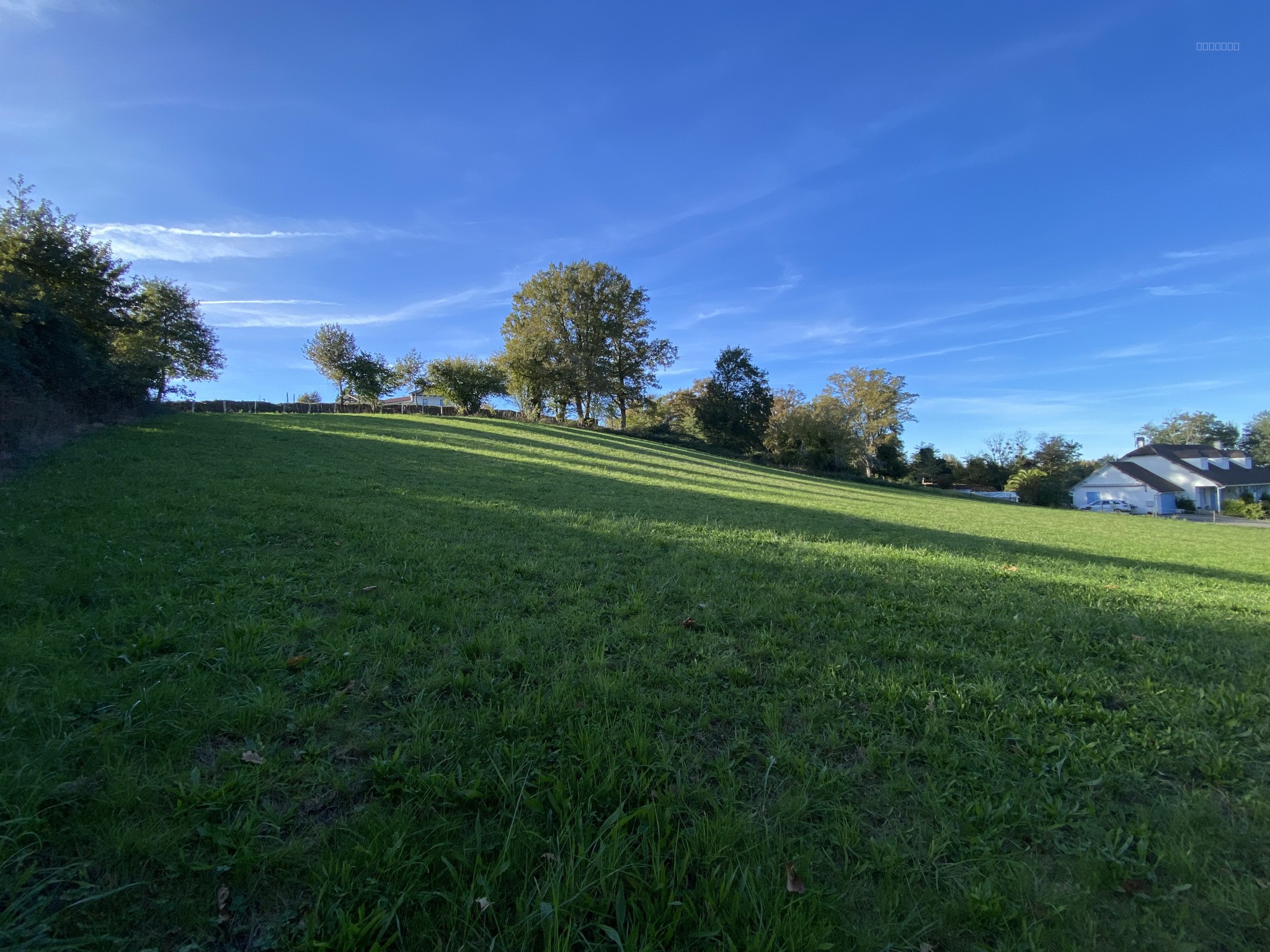 Bien immobilier à vendre à Sauvelade, 4 000 m² – photo 1 sur 5
