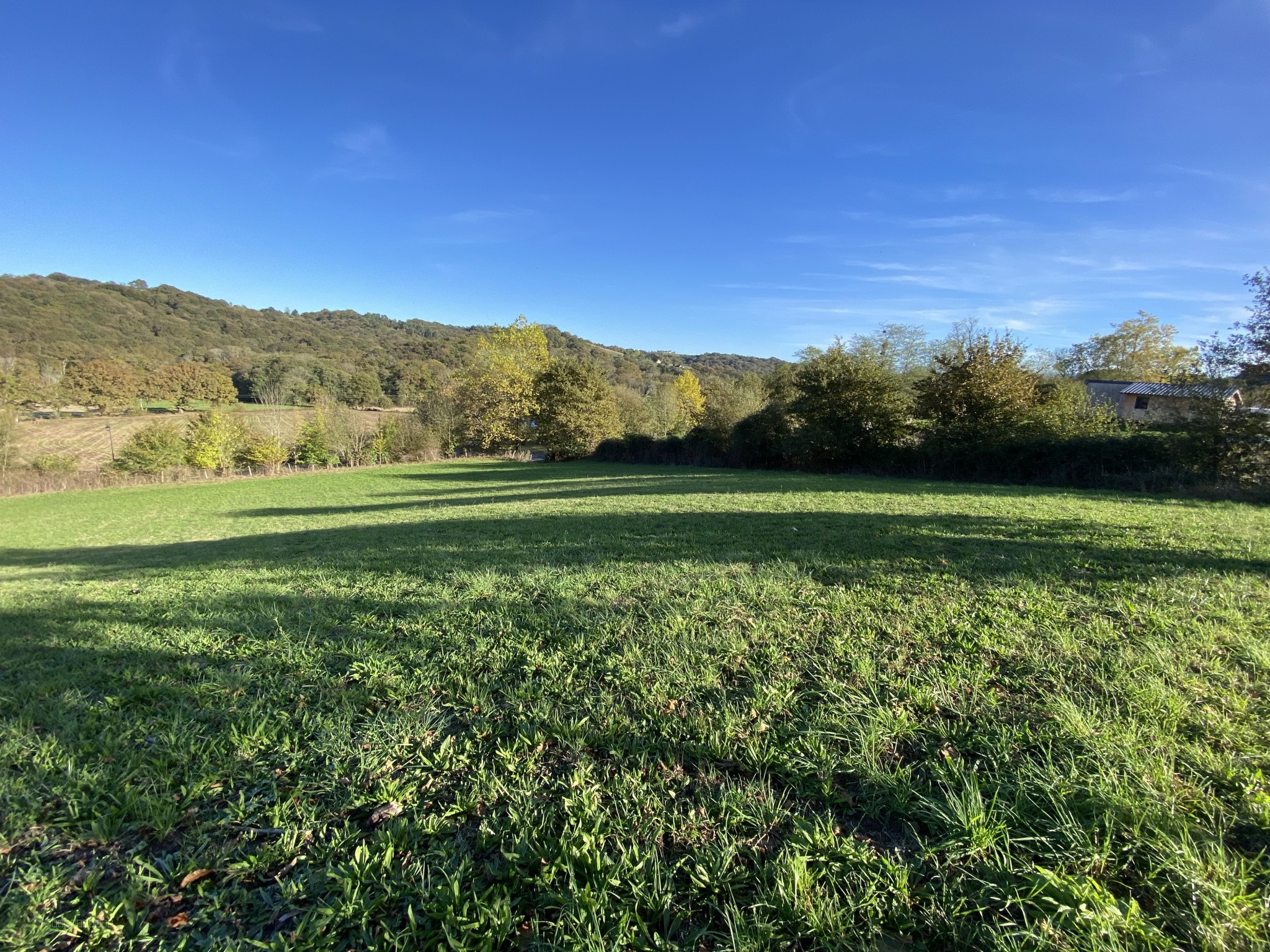 Bien immobilier à vendre à Sauvelade, 4 000 m² – photo 2 sur 5