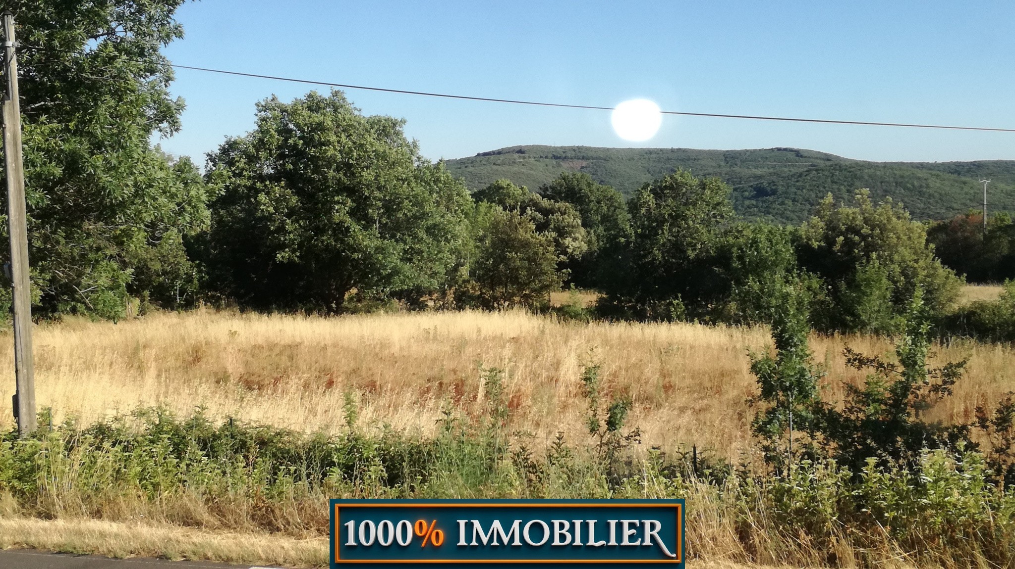Bien immobilier à vendre à Valmascle, 4 080 m² – photo 1 sur 10