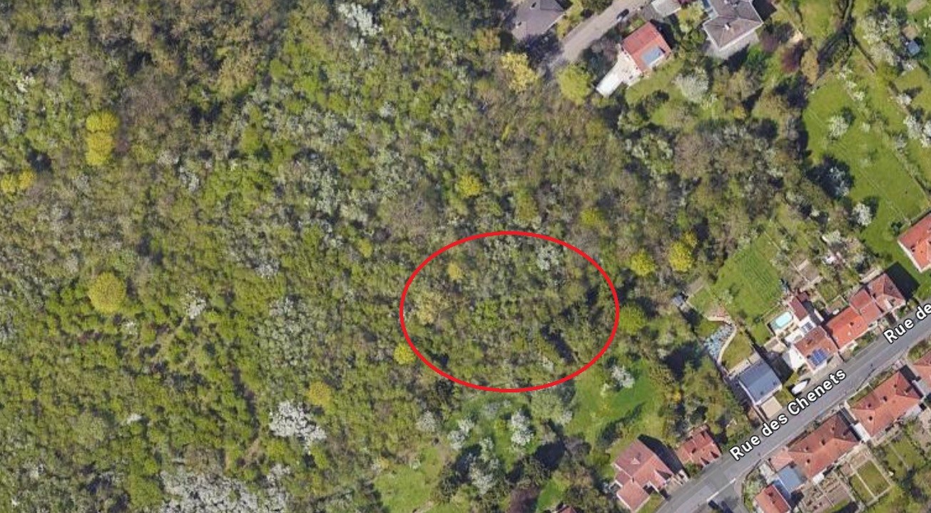 Bien immobilier à vendre à Longeville les metz, 1 567 m² – photo 1 sur 3