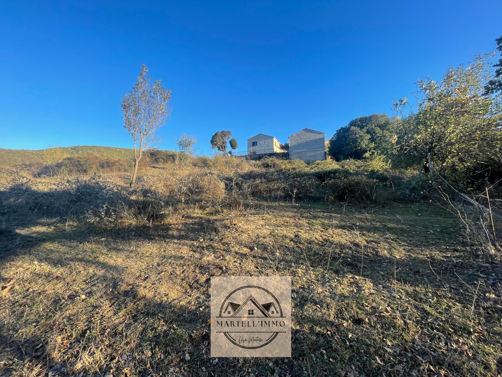 Bien immobilier à vendre à Castello di rostino, 3 370 m² – photo 2 sur 3