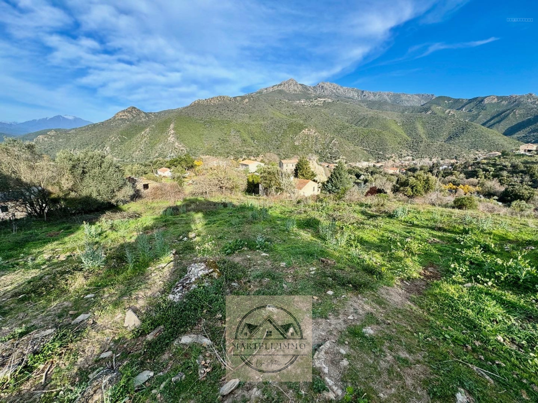 Bien immobilier à vendre à Castello di rostino, 3 370 m² – photo 3 sur 3