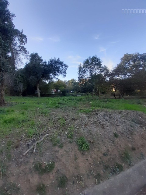 Terrain à vendre à San nicolao, 910 m² – photo 3 sur 3