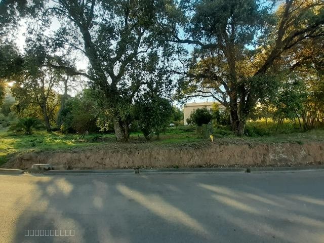 Terrain à vendre à San nicolao, 910 m² – photo 2 sur 3