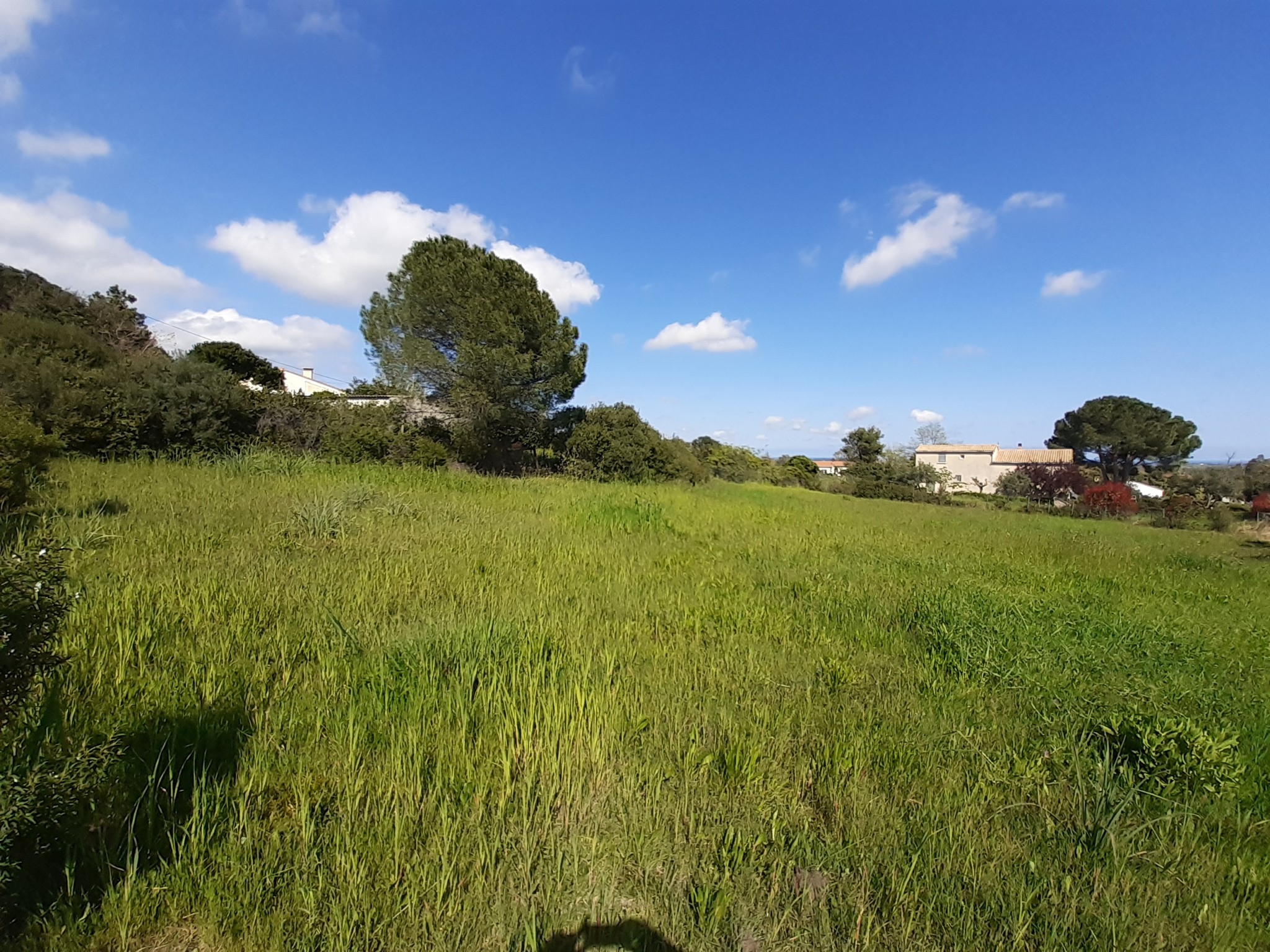 Terrain à vendre à Pietroso, 1 168 m² – photo 2 sur 3
