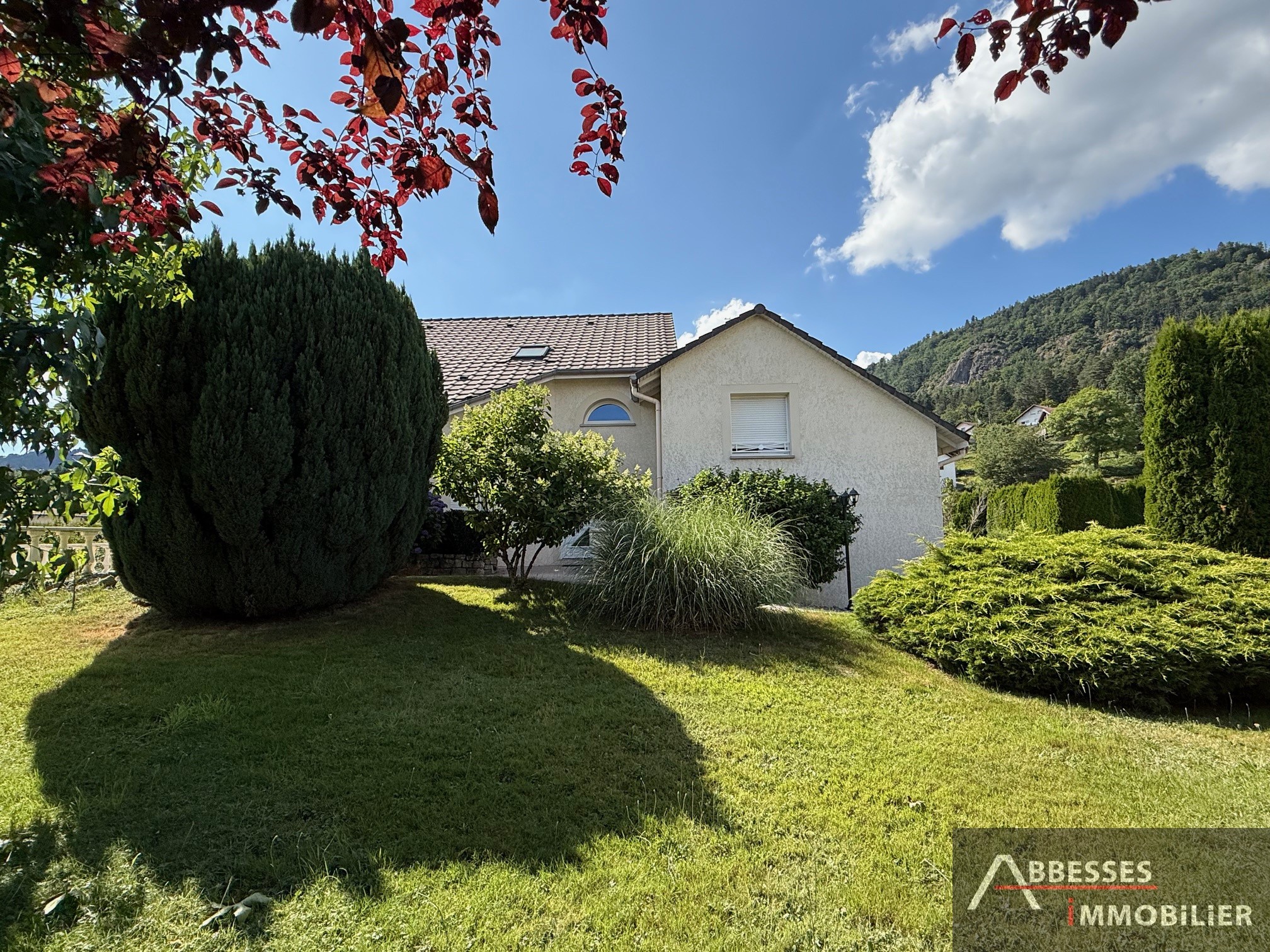 Maison à vendre à St ame, 163 m², 6 pièces – photo 3 sur 20