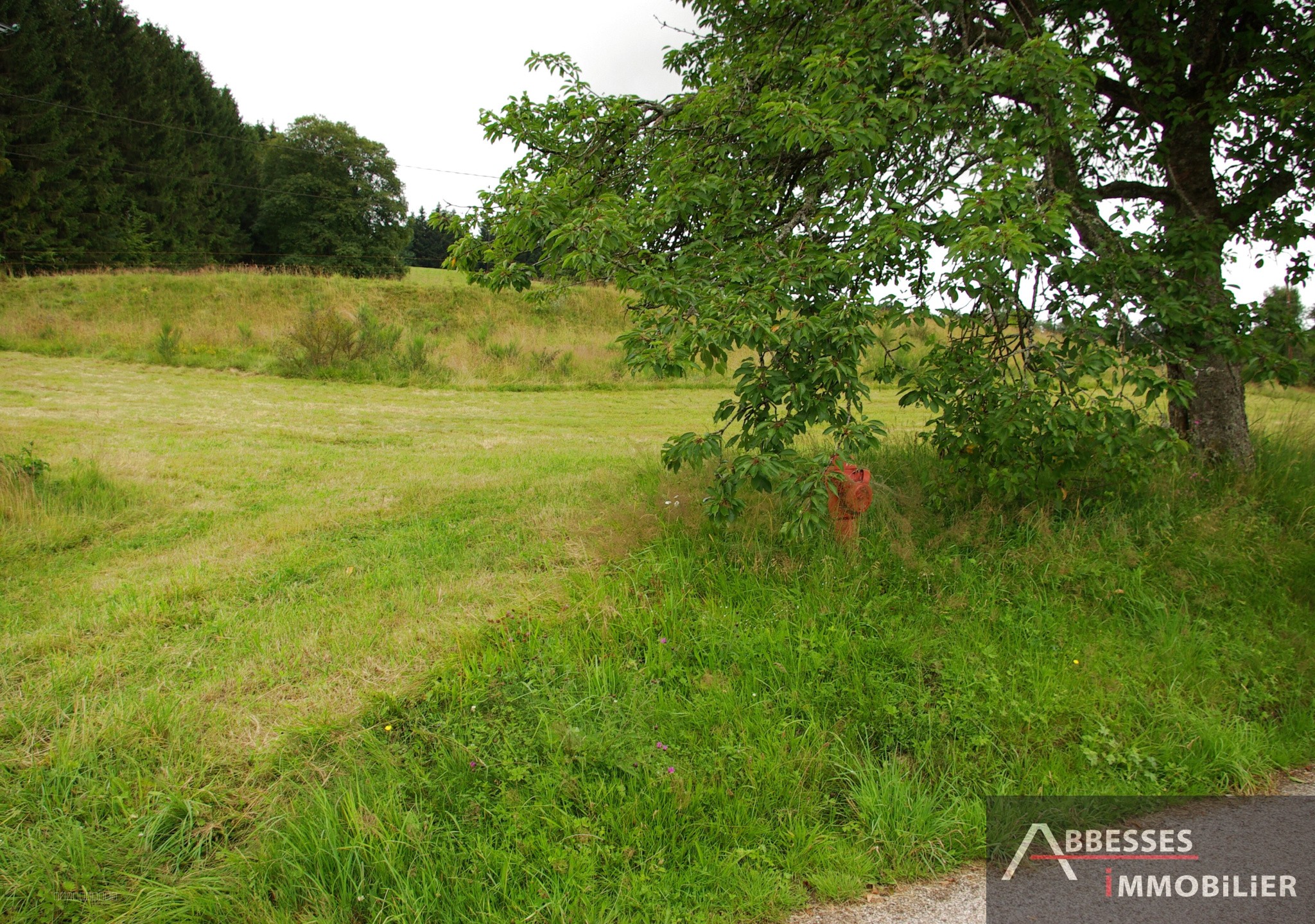 Terrain à vendre à Remiremont, 1 503 m² – photo 2 sur 3