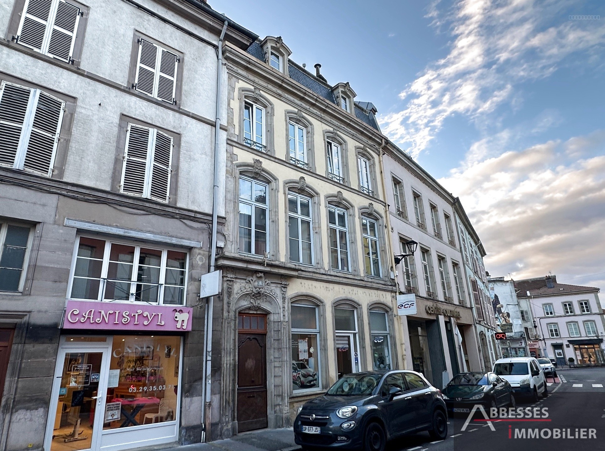 Immeuble à vendre à Epinal, 280 m², 8 pièces – photo 1 sur 20