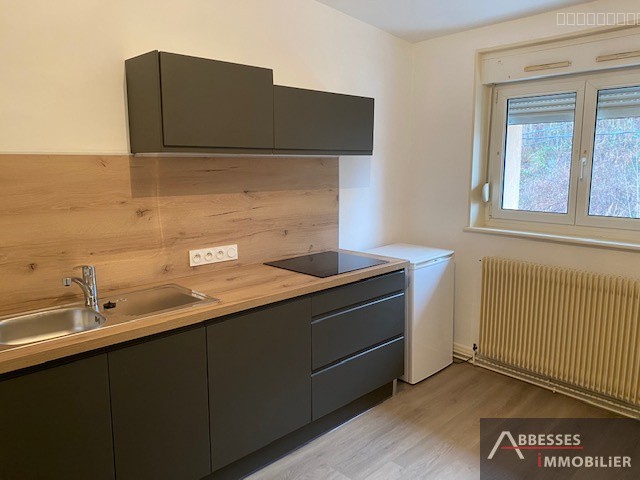 Appartement à louer à Remiremont, 30,26 m², 2 pièces – photo 3 sur 7