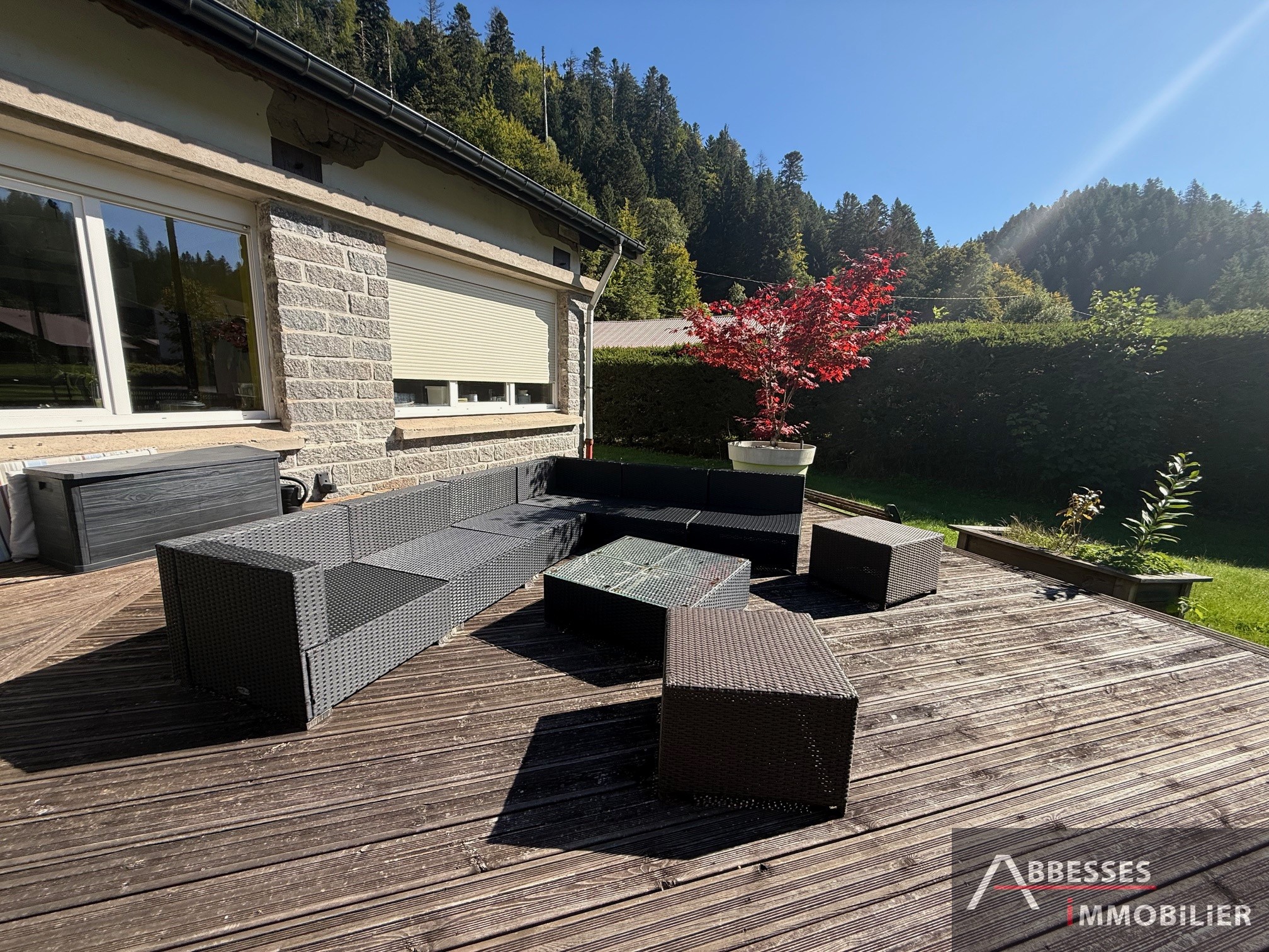 Maison à vendre à Gerardmer, 225 m², 7 pièces – photo 1 sur 20