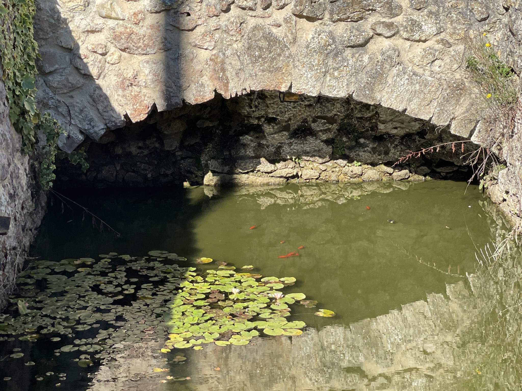 Demeure d’exception du XVII siècle   Parc et Piscine   Gers, proche Vic-Fezensac — photo 5