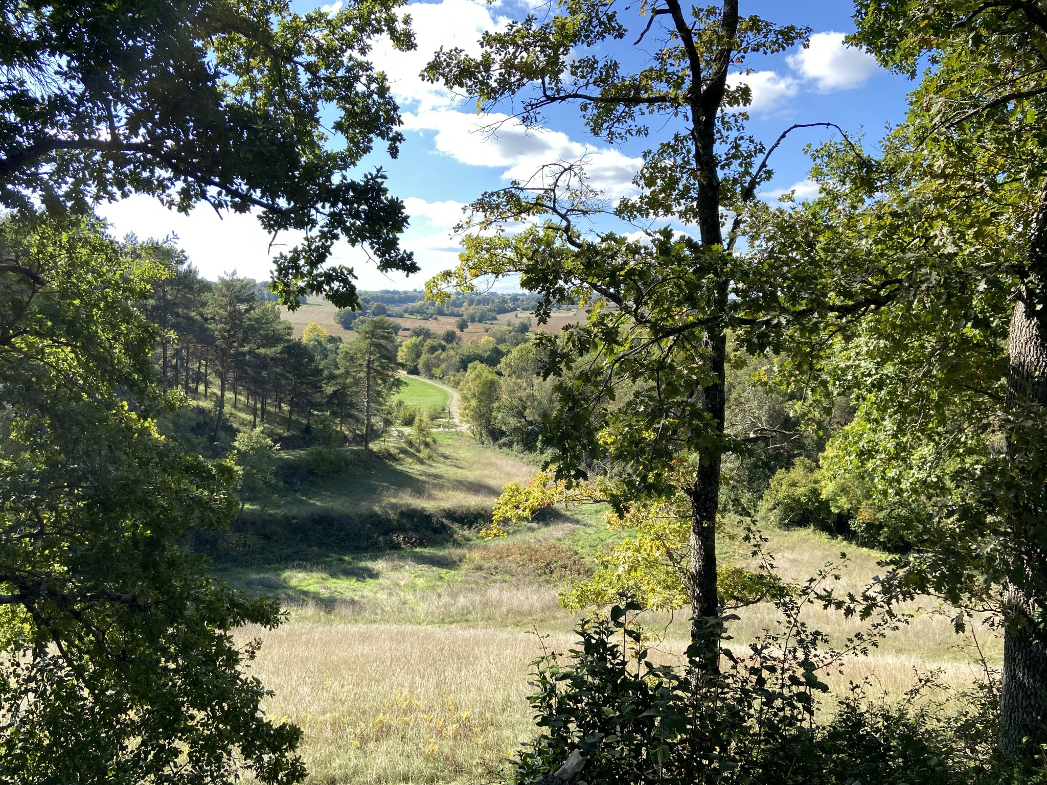 Charmante Maison de Campagne avec Gîte, aux Portes de Larressingle   Sur le Chemin de Saint-Jacques de Compost — photo 19