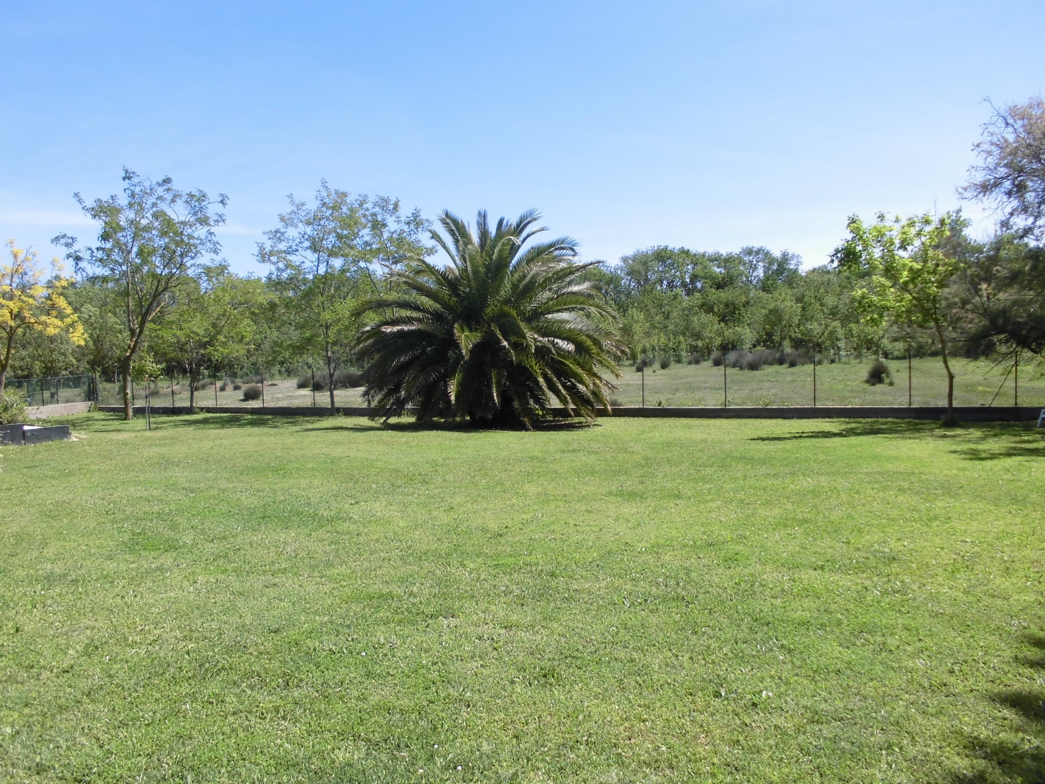 Villa à vendre à Lattes, 180 m², 5 pièces – photo 2 sur 10