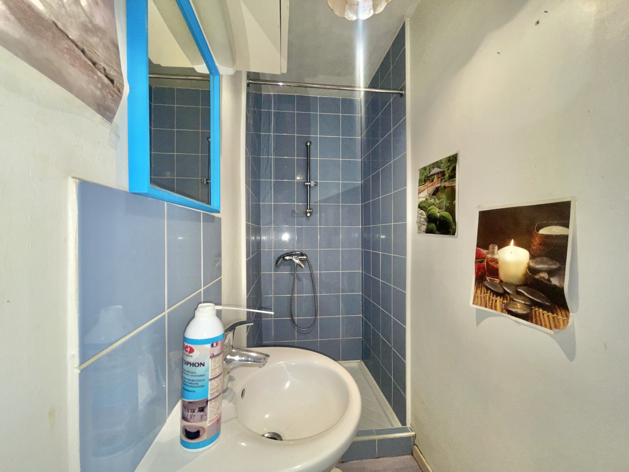 GRAND TERRAIN DE 2447 m2 EN PARTIE CONSTRUCTIBLE — photo 6