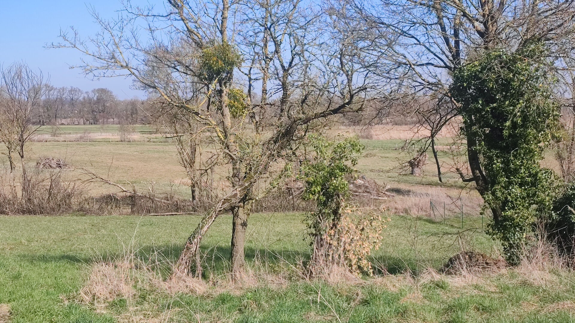 Terrain à vendre à St etienne sur reyssouze, 1 501 m² – photo 3 sur 4