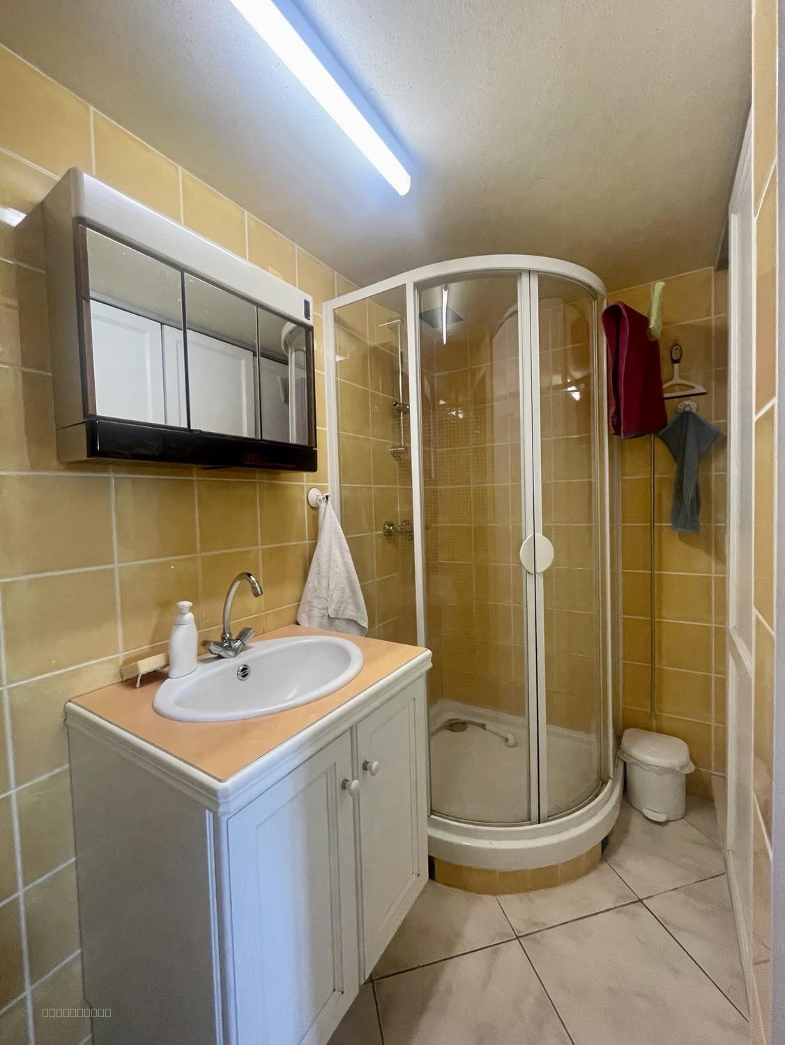 MAISON EN PIERRES AVEC DEPENDANCE AMENAGEABLE EN HAMEAU - BEGANNE — photo 8