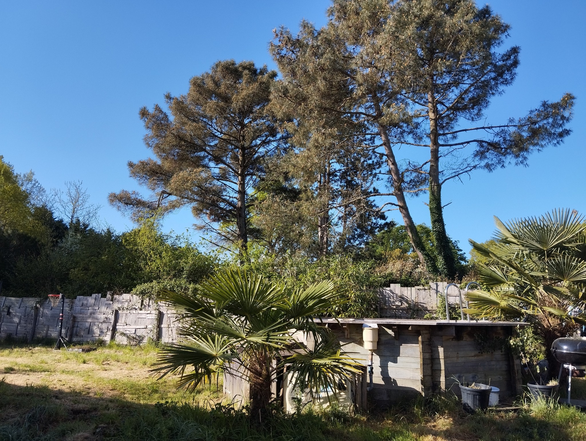 Bien immobilier à vendre à Guenrouet, 15 m², 6 pièces – photo 3 sur 11