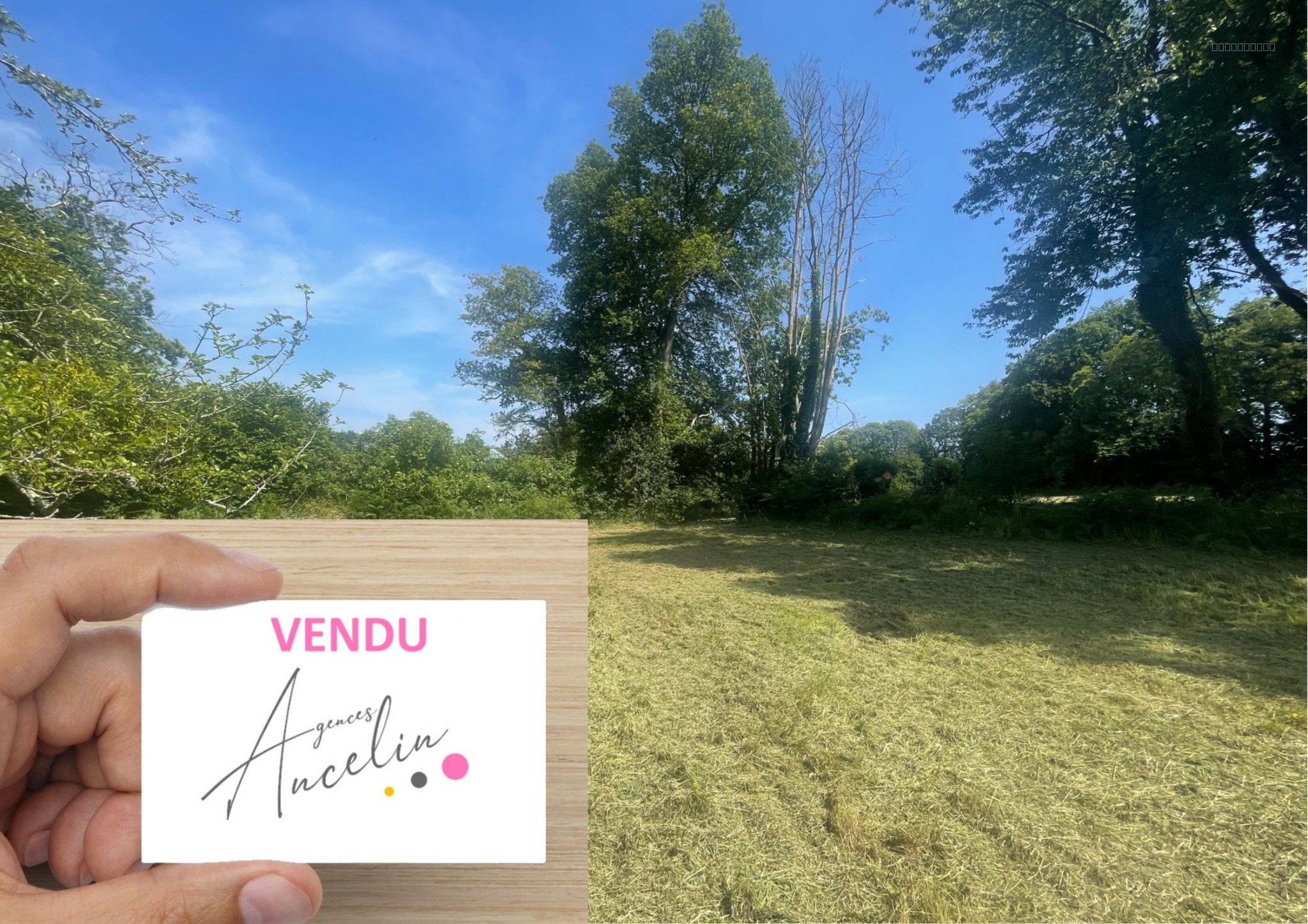 Maison à vendre à Pontchateau, 45 m², 5 pièces – photo 1 sur 3