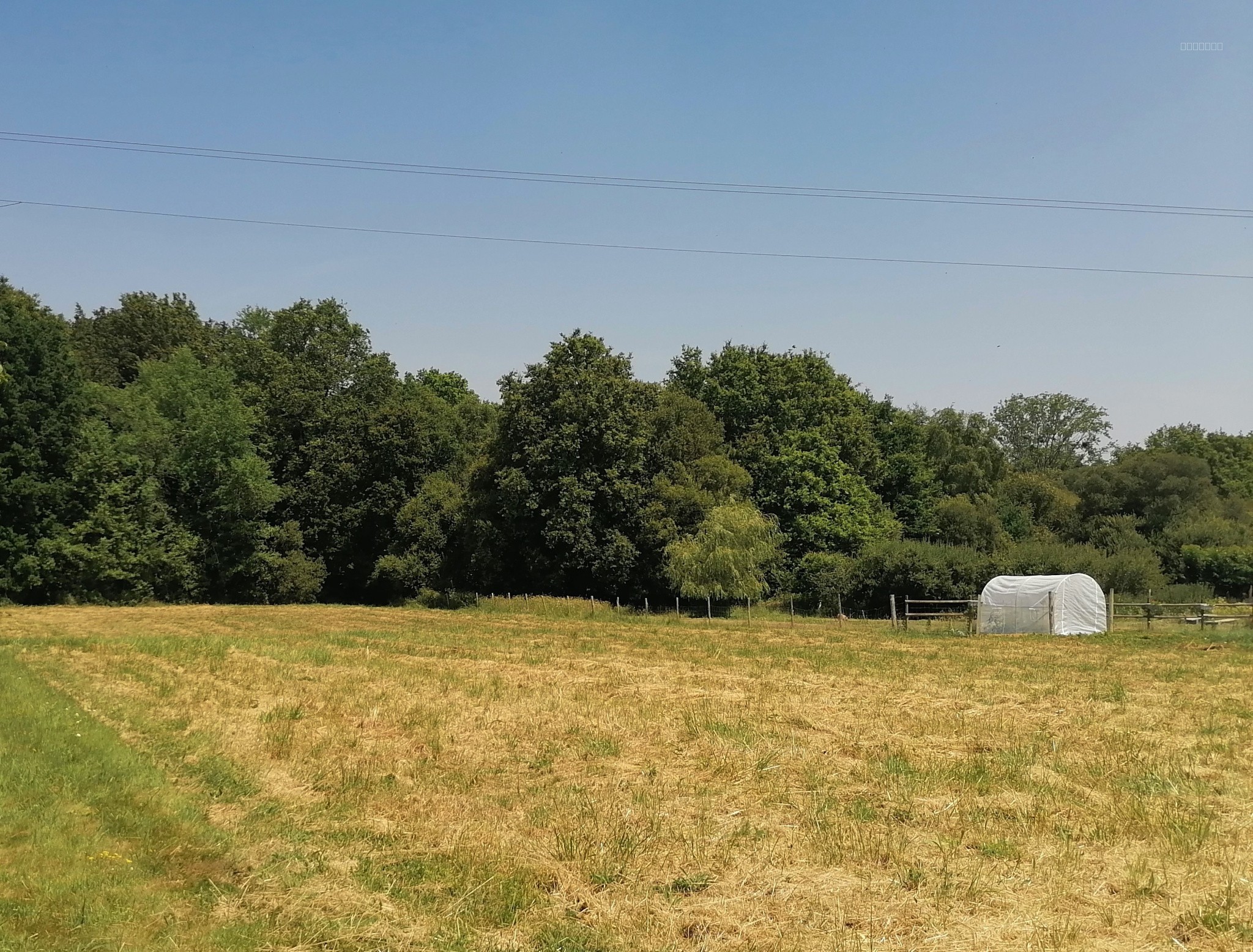 Terrain à vendre à Missillac, 2 498 m² – photo 1 sur 1