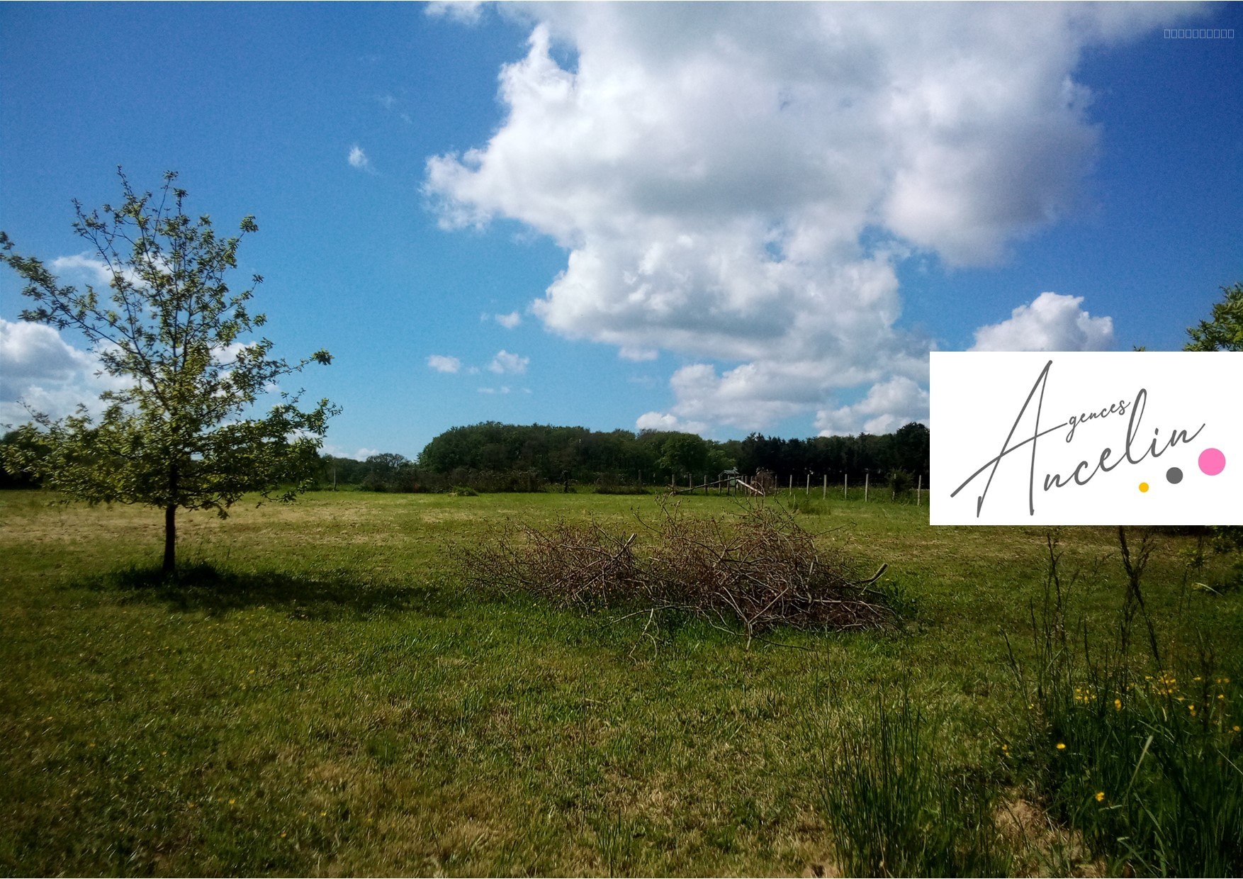 Bien immobilier à vendre à Dreffeac, 1 371 m² – photo 3 sur 3