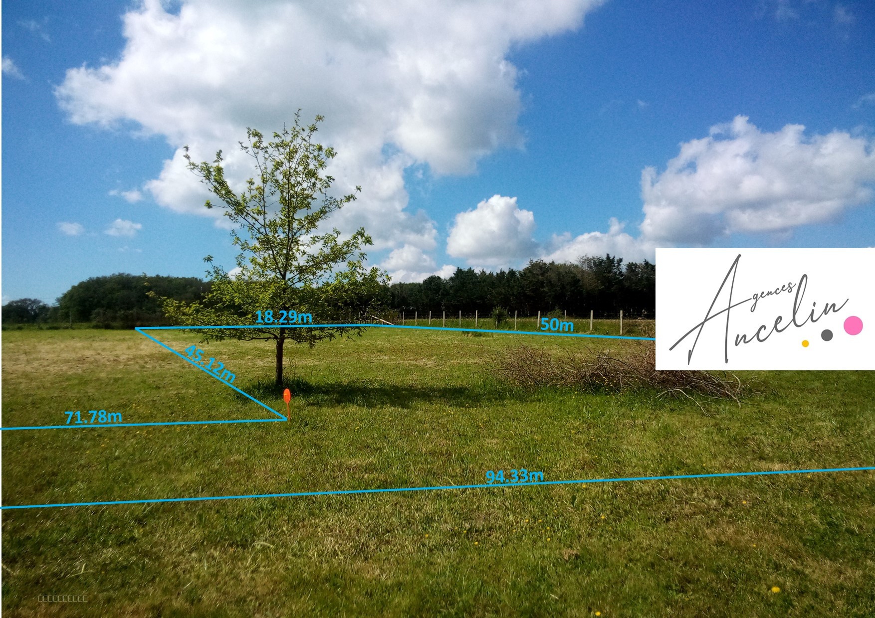 Bien immobilier à vendre à Dreffeac, 1 371 m² – photo 2 sur 3