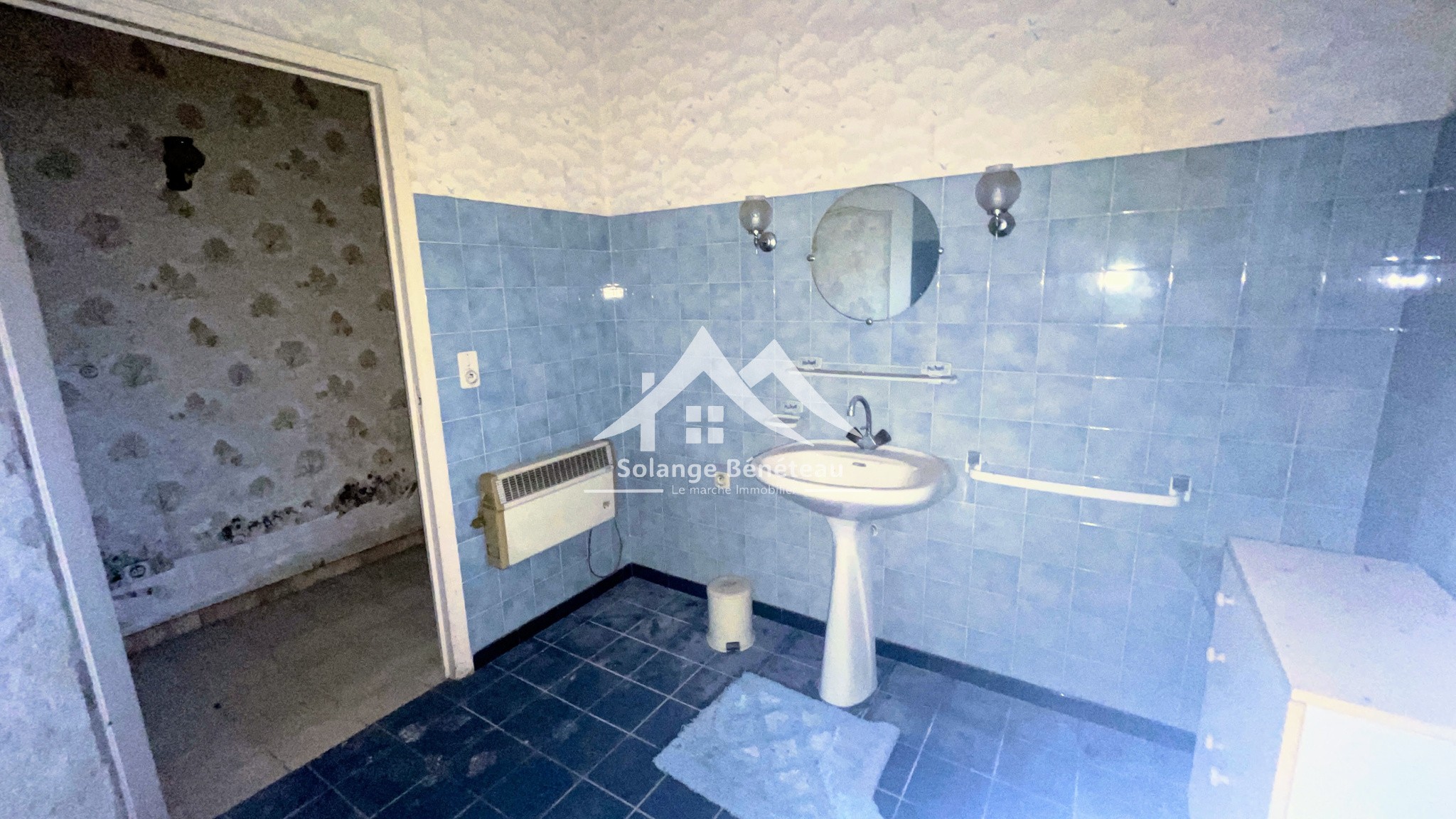 À deux pas du centre de Casteljaloux   Deux maisons indépendantes sur 1 313 m2 — photo 8