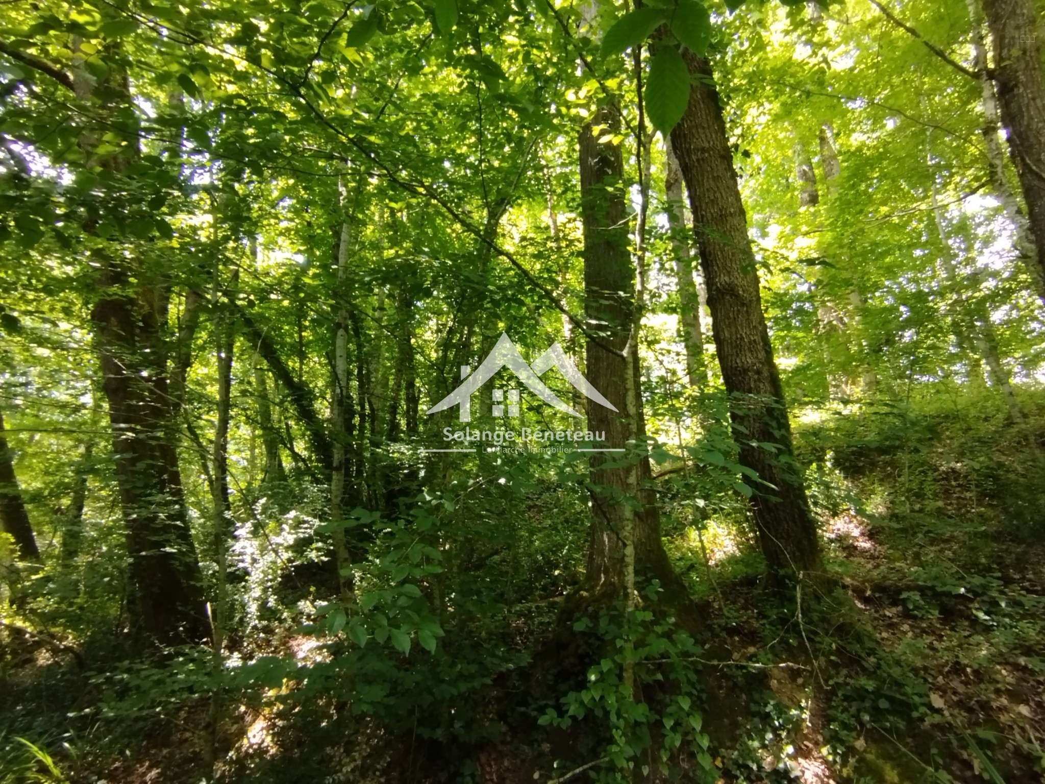 Terrain à vendre à Ste marthe, 10 307 m² – photo 1 sur 5