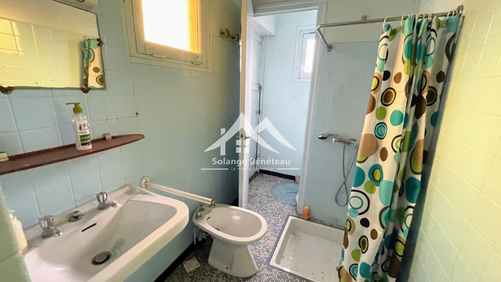 À deux pas du centre de Casteljaloux   Deux maisons indépendantes sur 1 313 m2 — photo 6